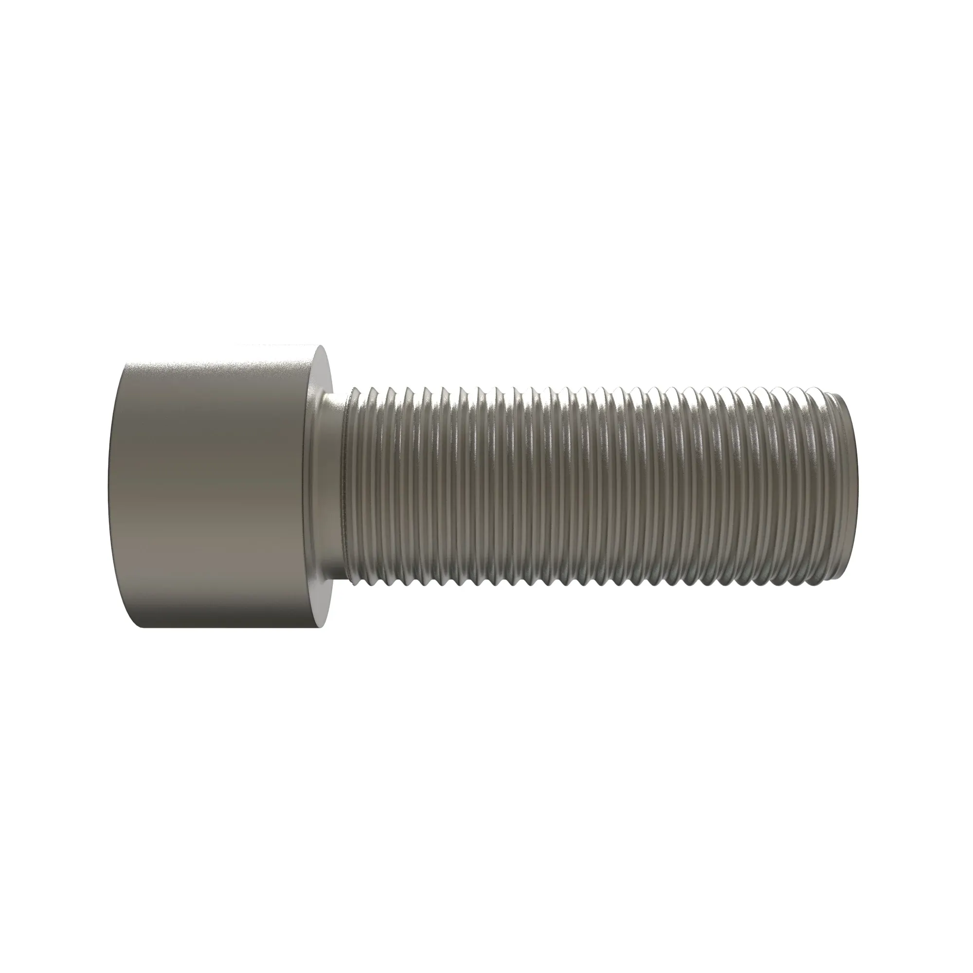Screw