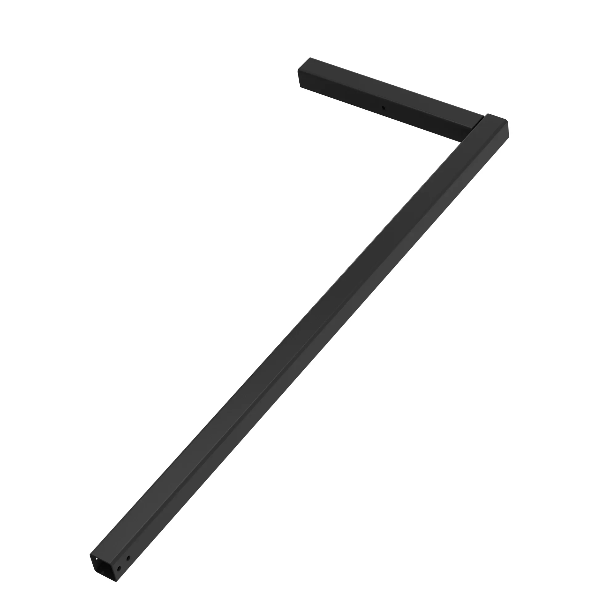 Leg