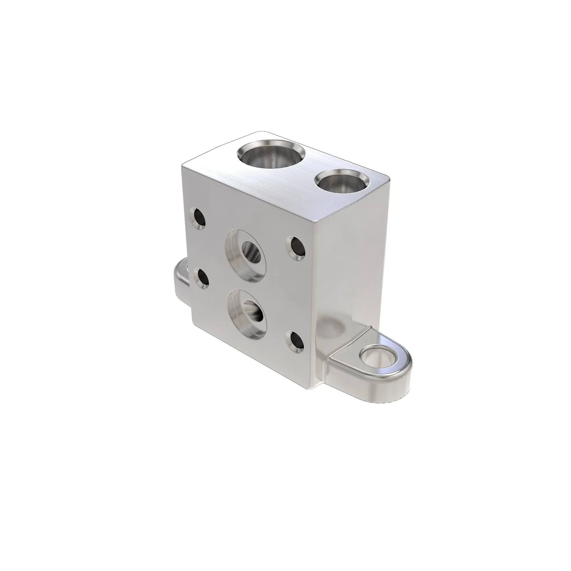 Manifold