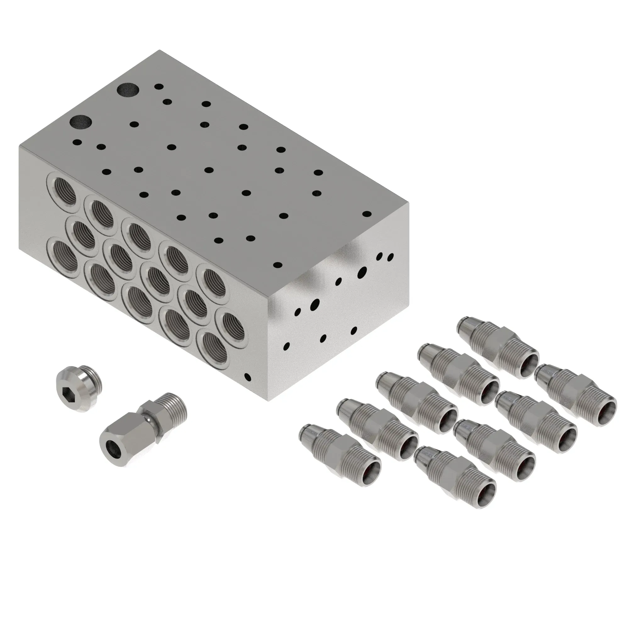 Manifold Kit