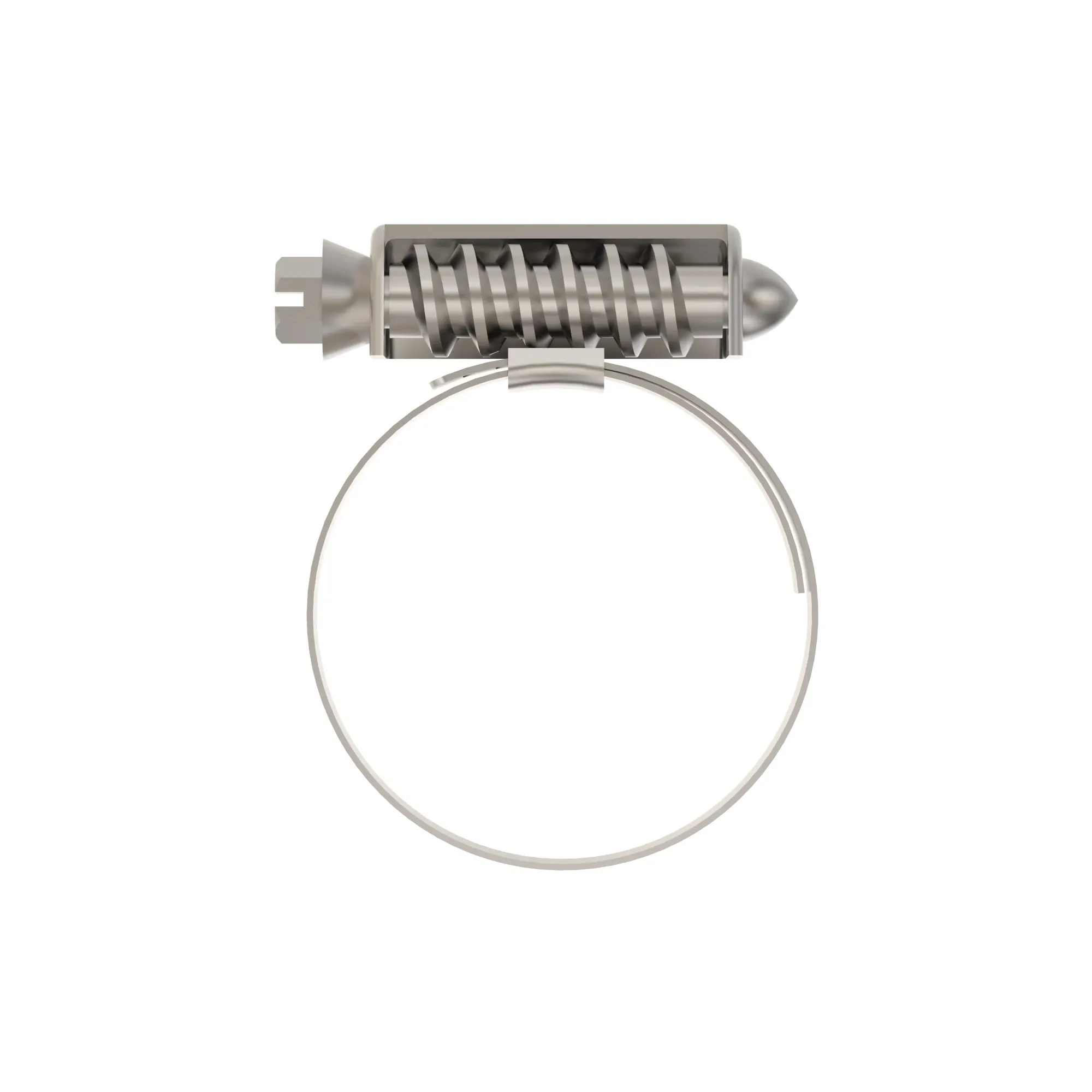 Hose Clamp