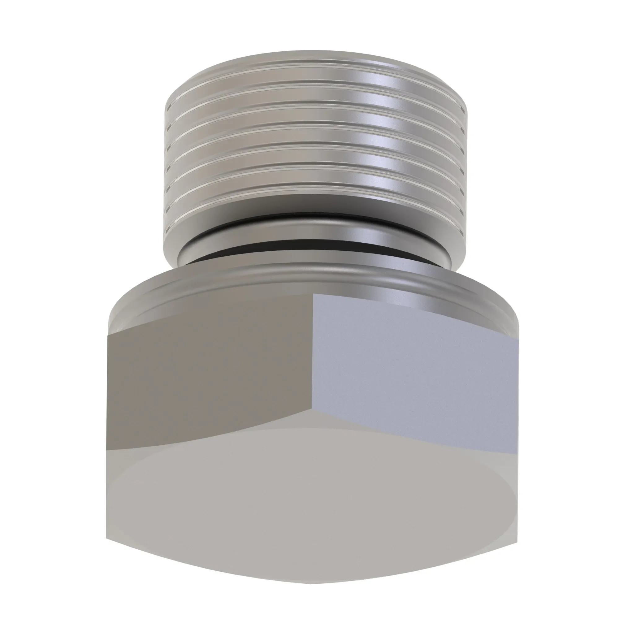 Fitting Plug