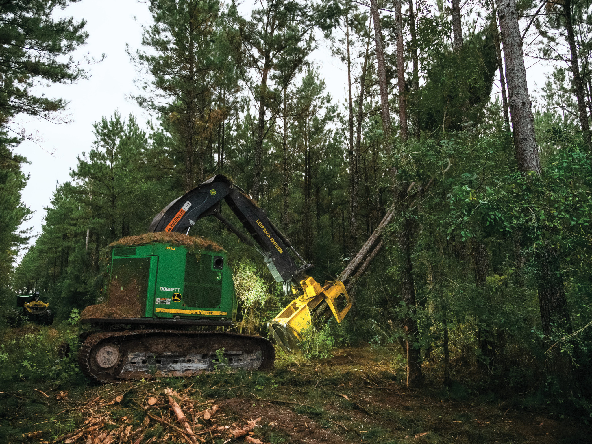 John Deere tracked forestry machine uses a cutting head to fell and process a tree in a dense forest, with surrounding pine trees, brush, and wood debris on the ground.