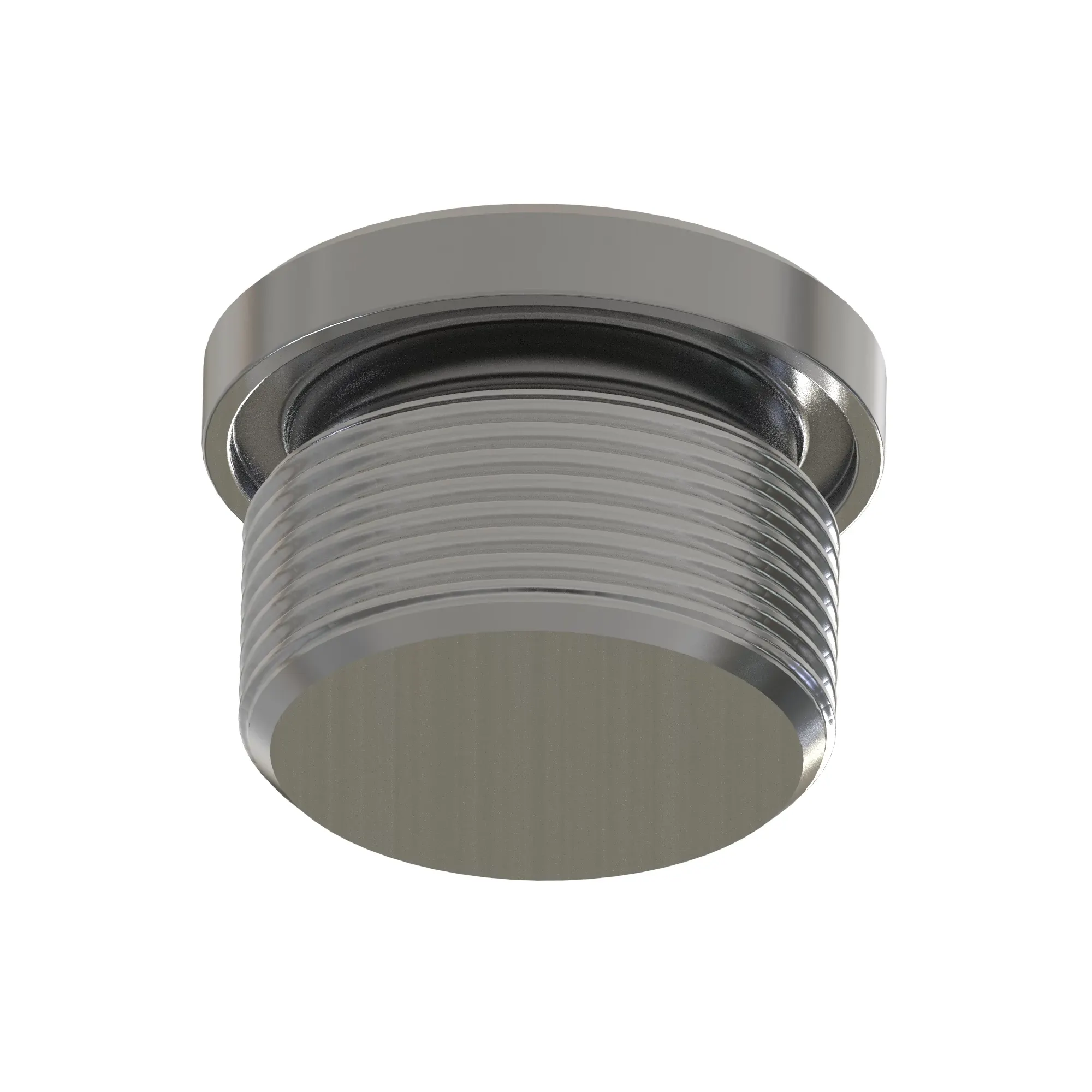 Fitting Plug