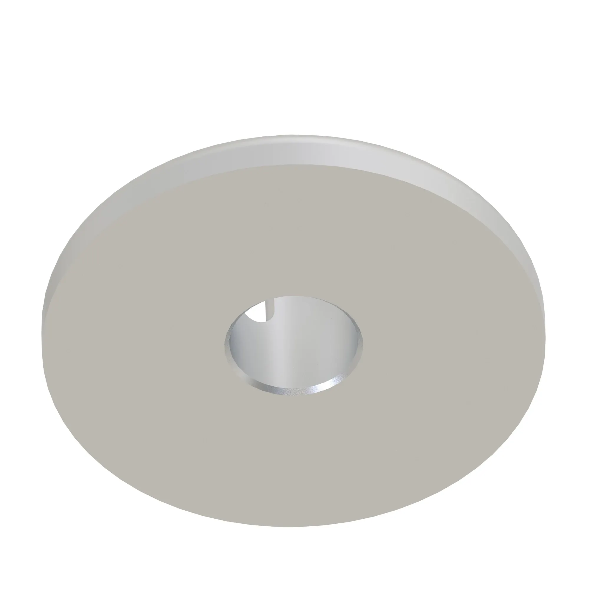 Disk