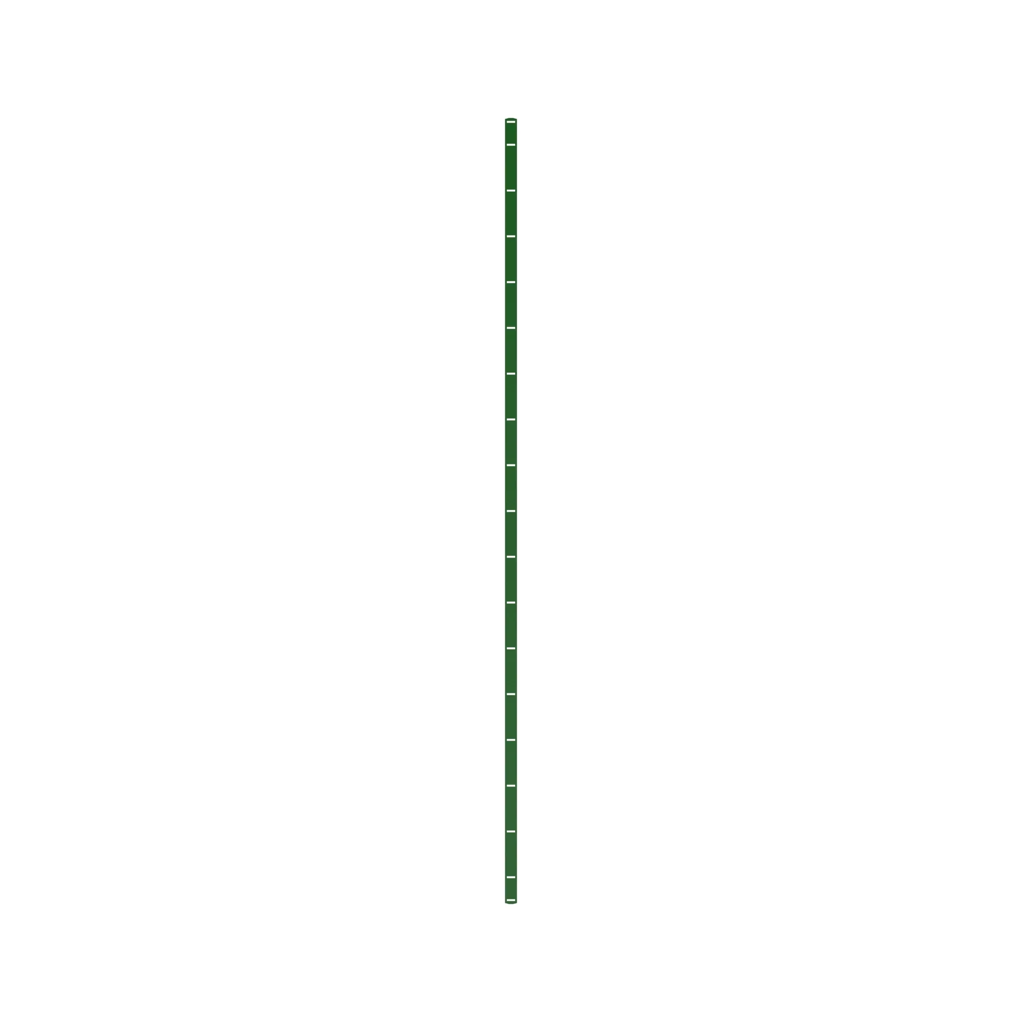 Stripper
