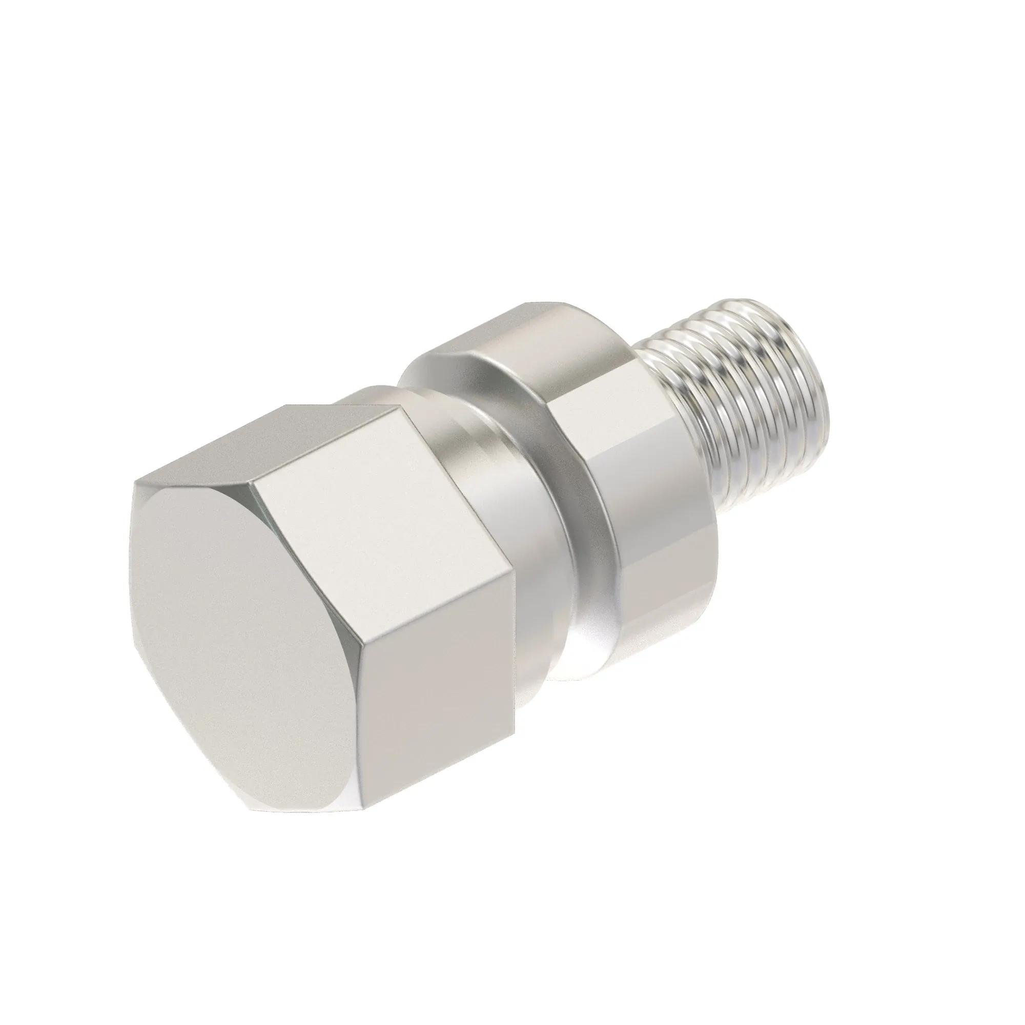 Fitting Plug