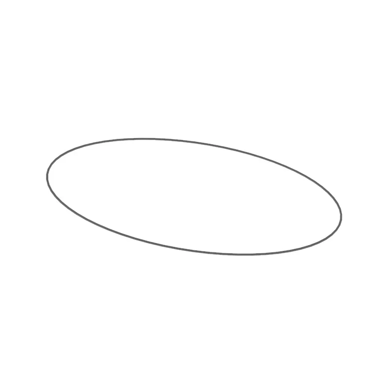 O-Ring