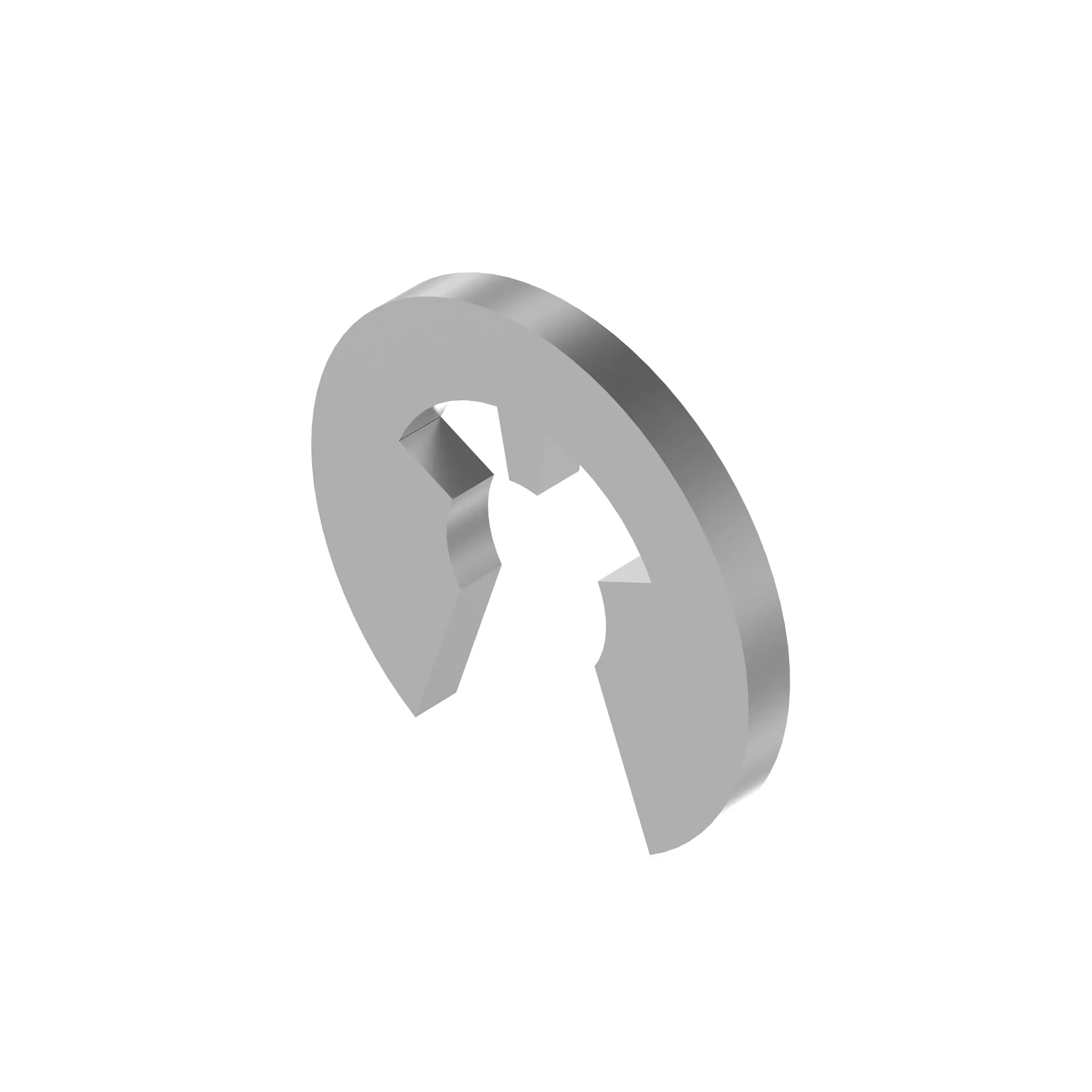 Snap Ring
