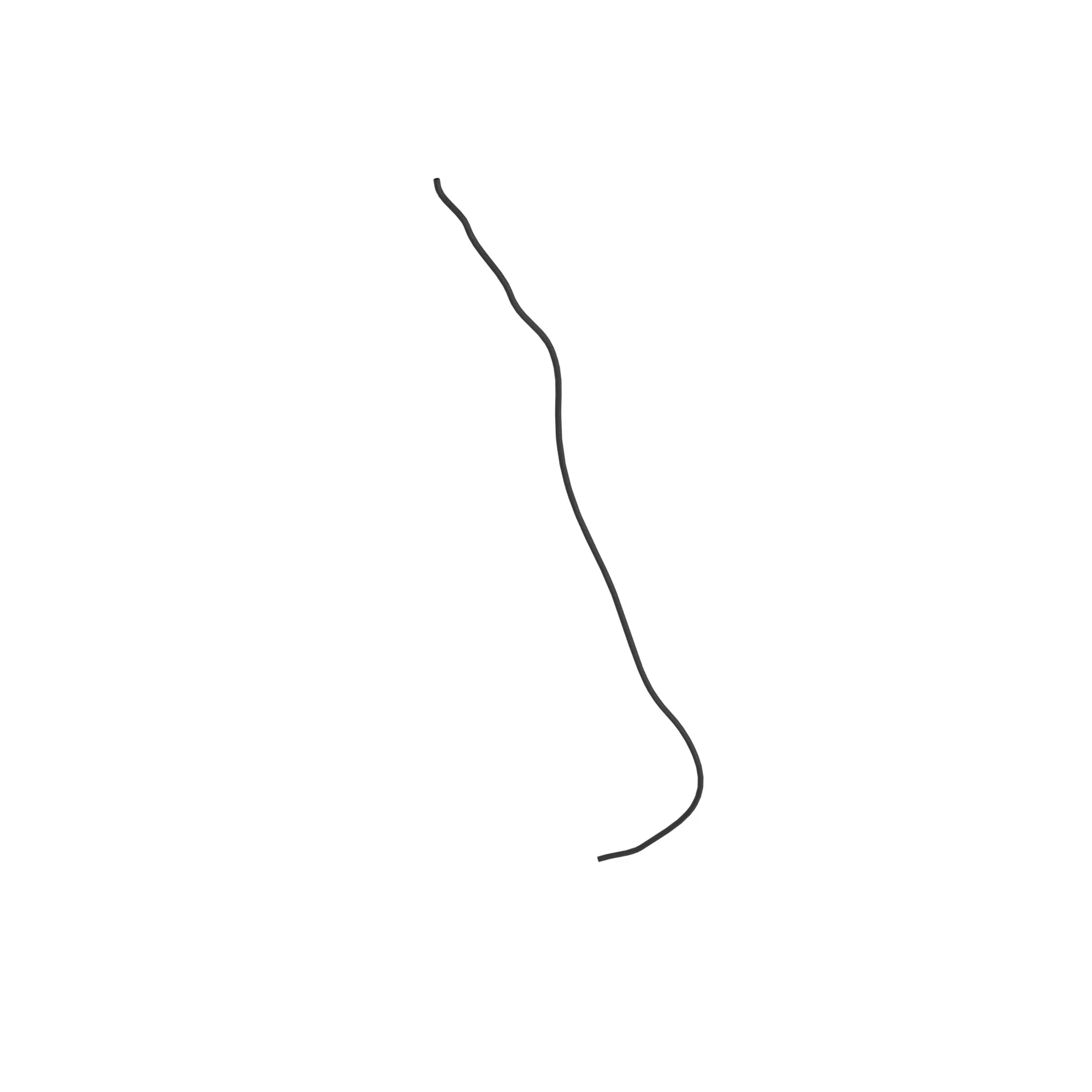 Hose