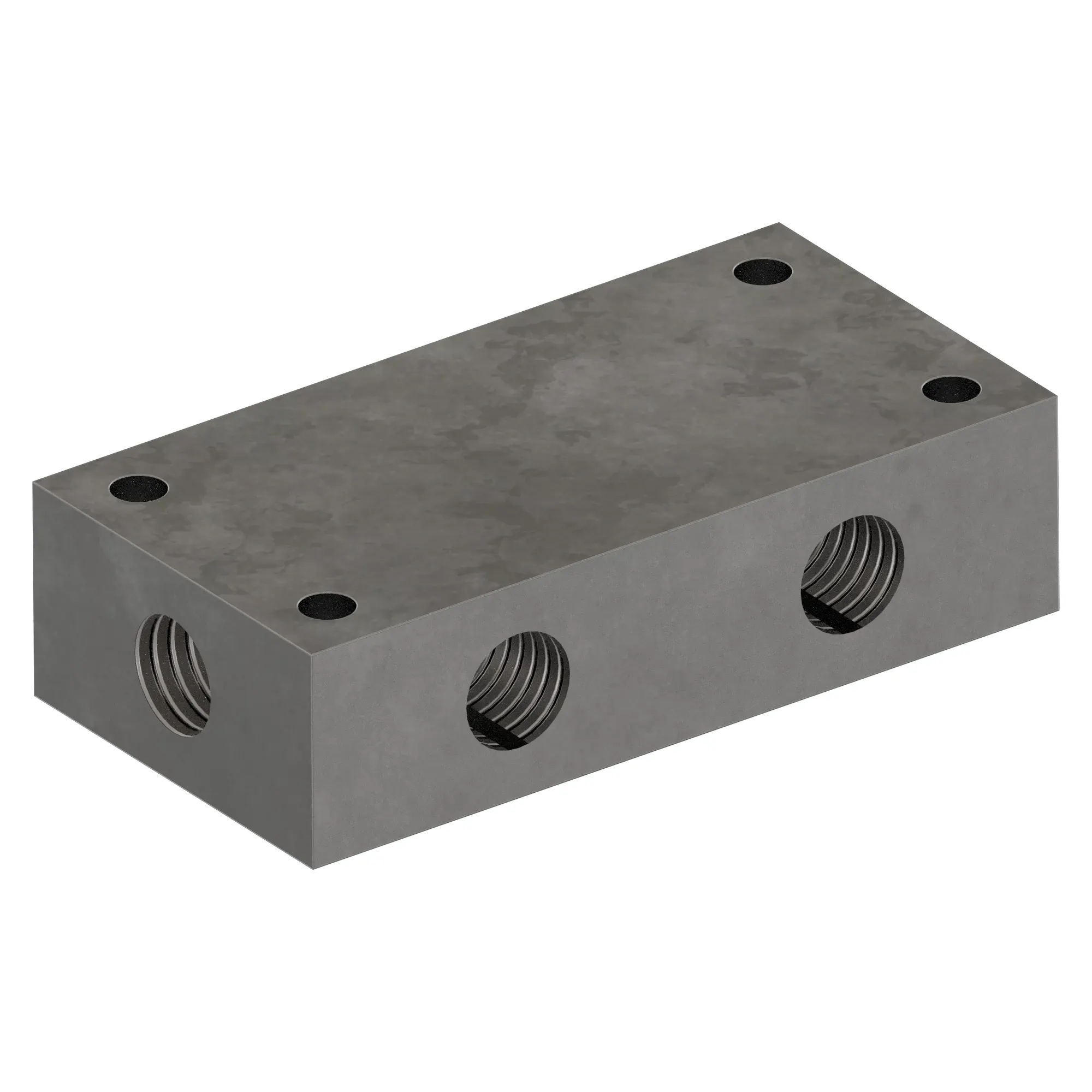 Manifold