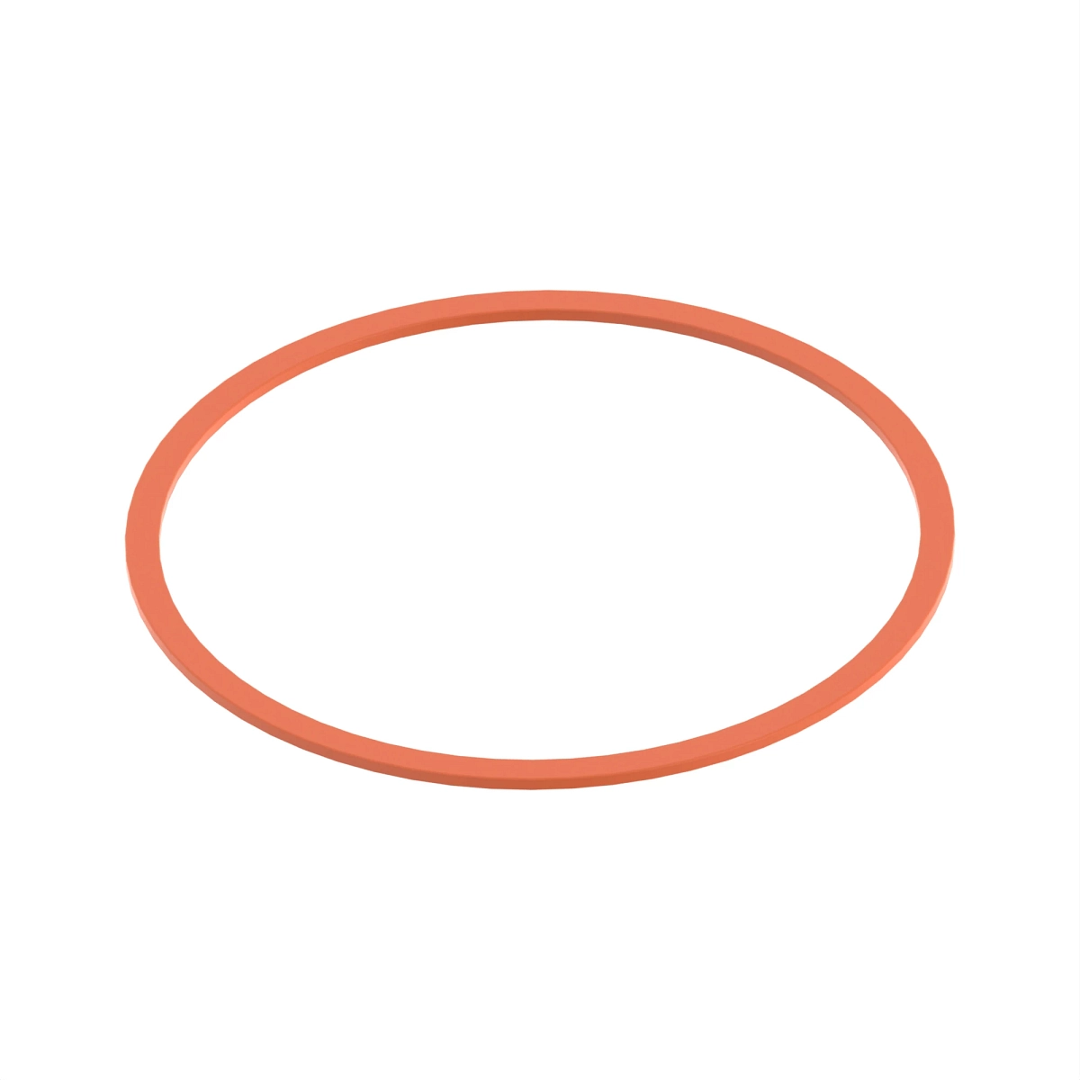Back-Up Ring