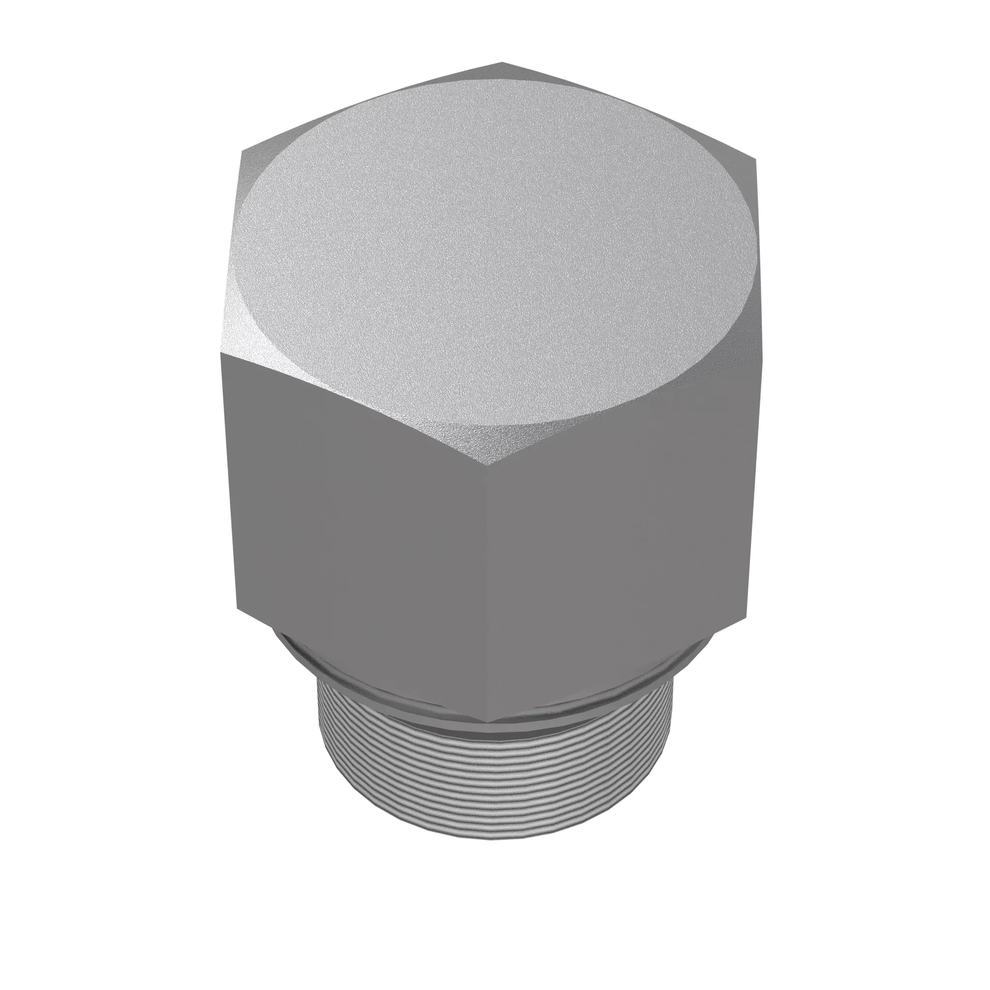 Fitting Plug