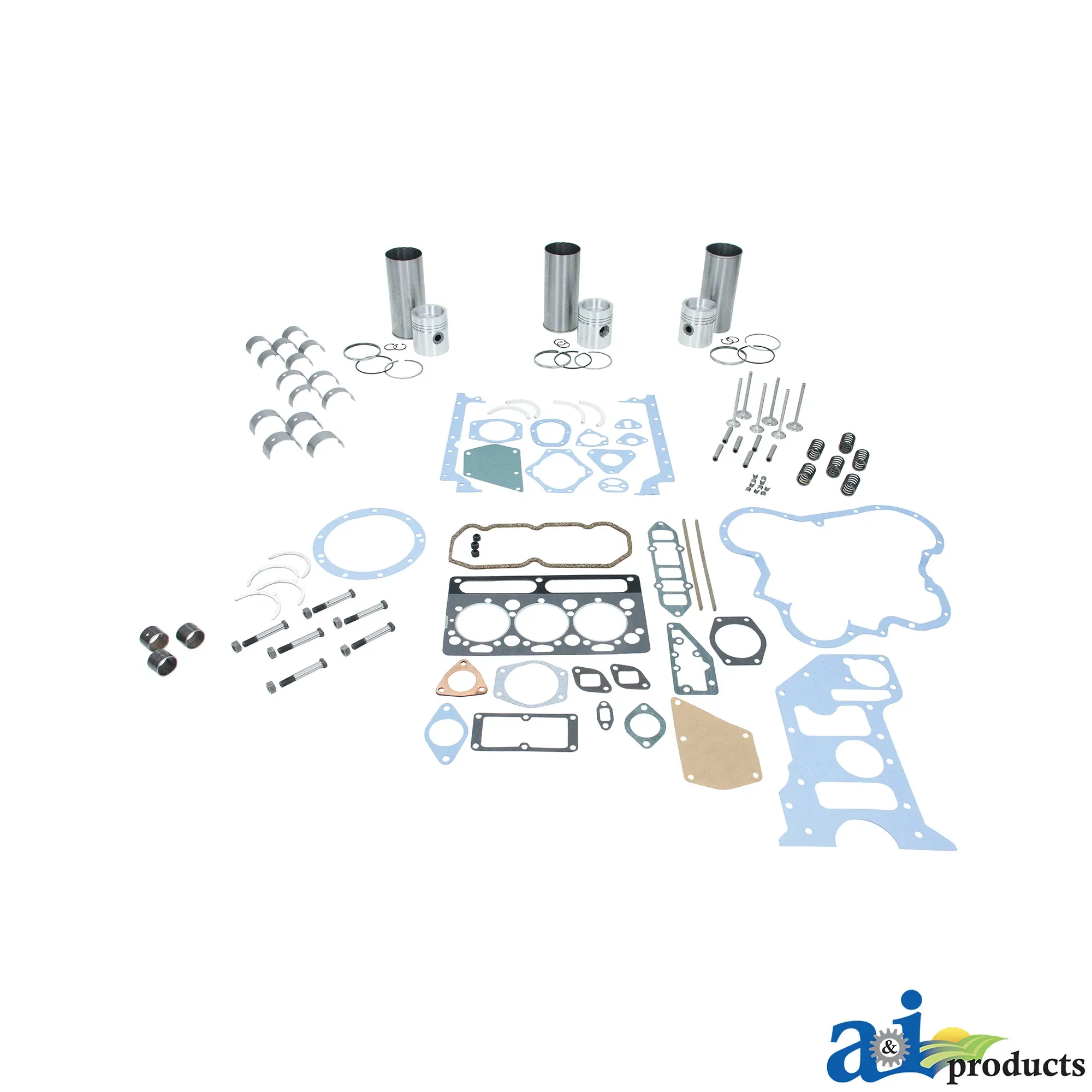A&I Products Engine Overhaul Kit - A-IK308