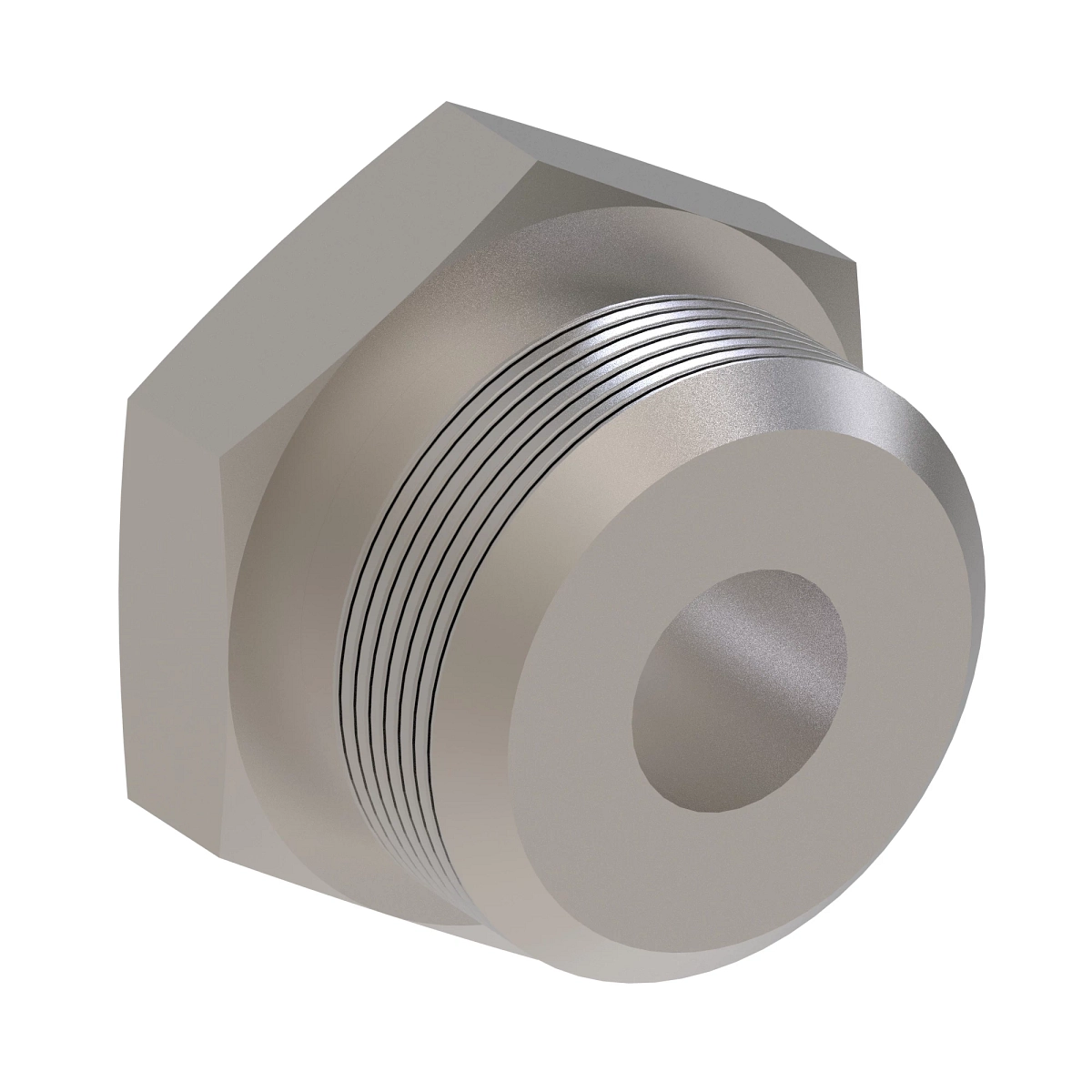 Fitting Plug