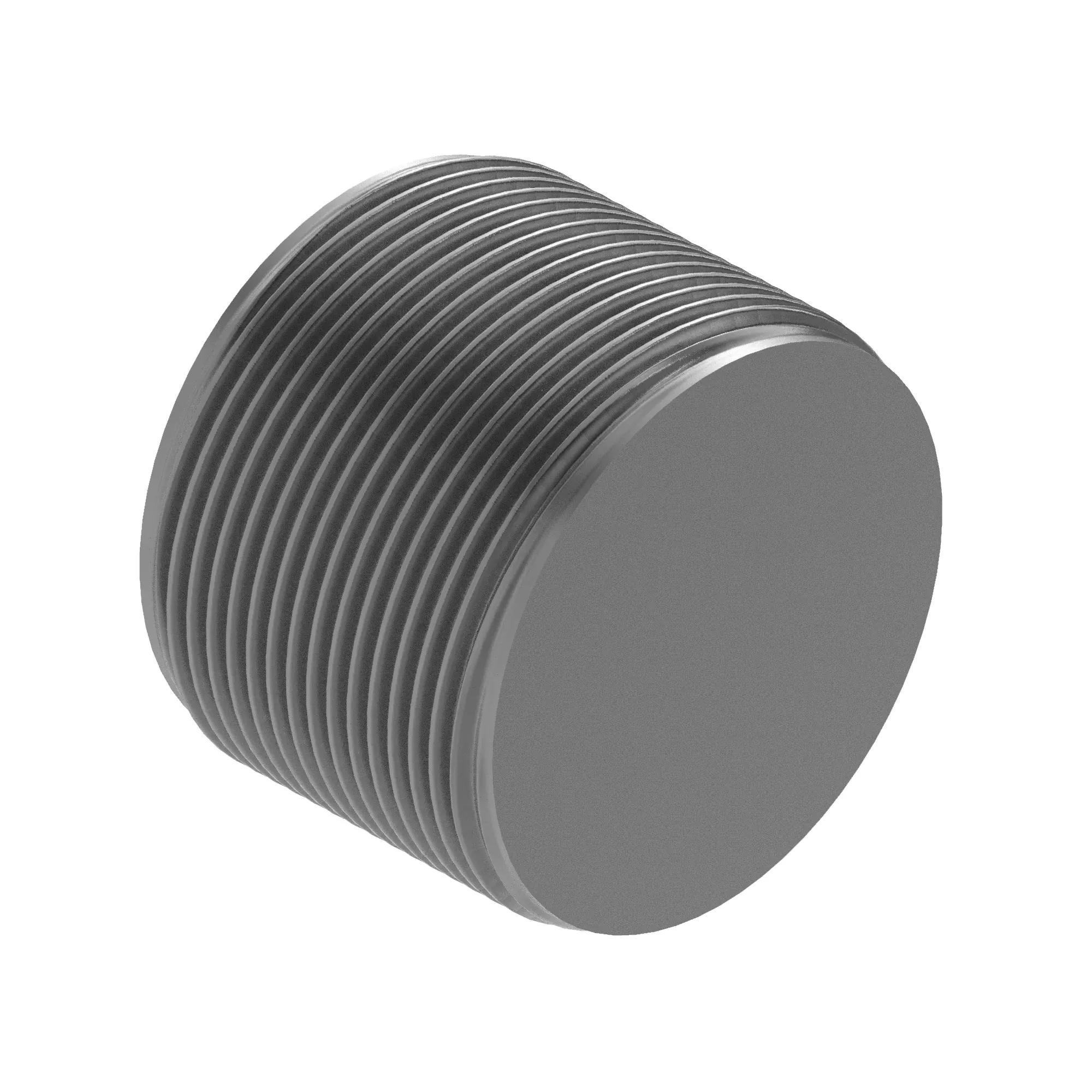 F202008: Pipe Plug