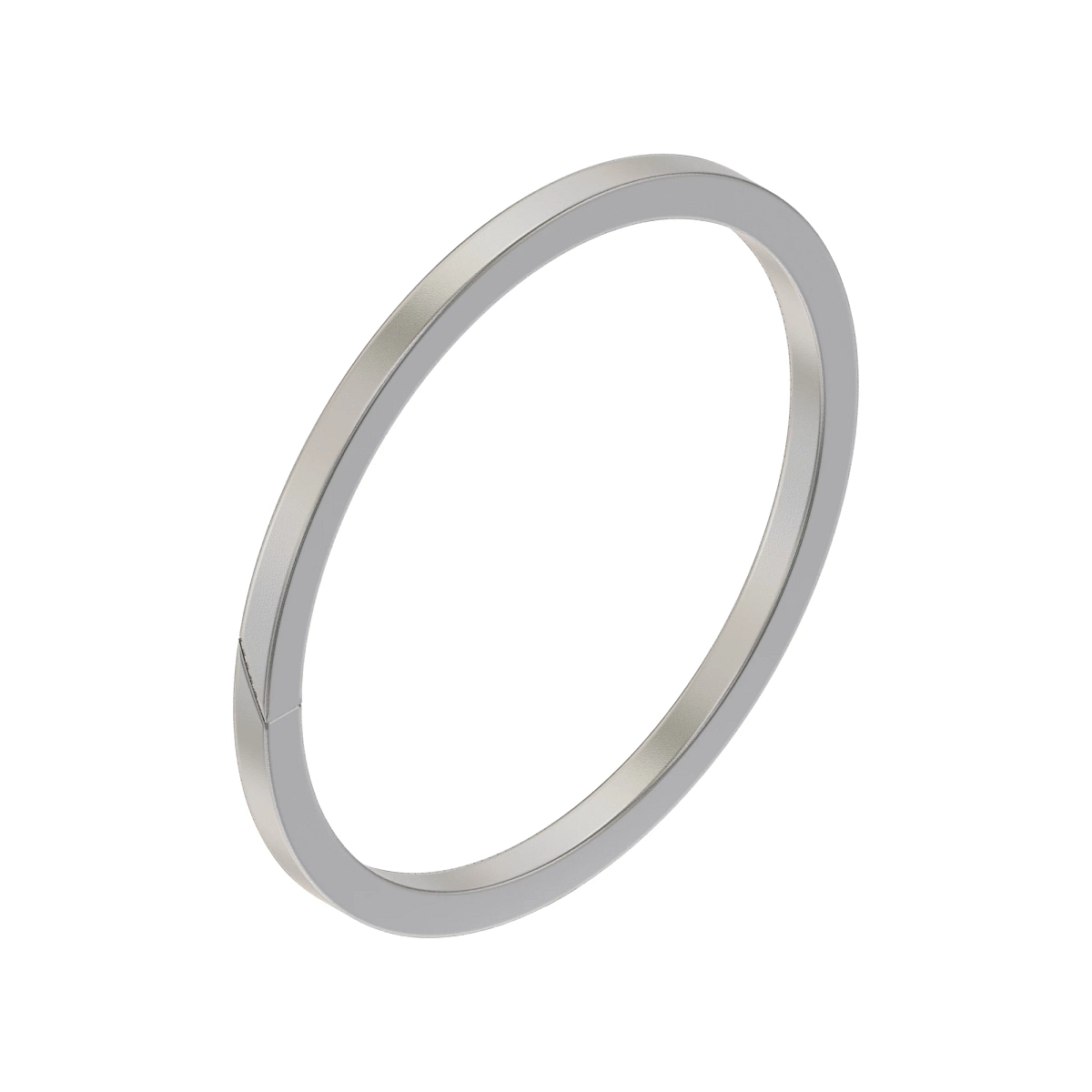 Backup Ring