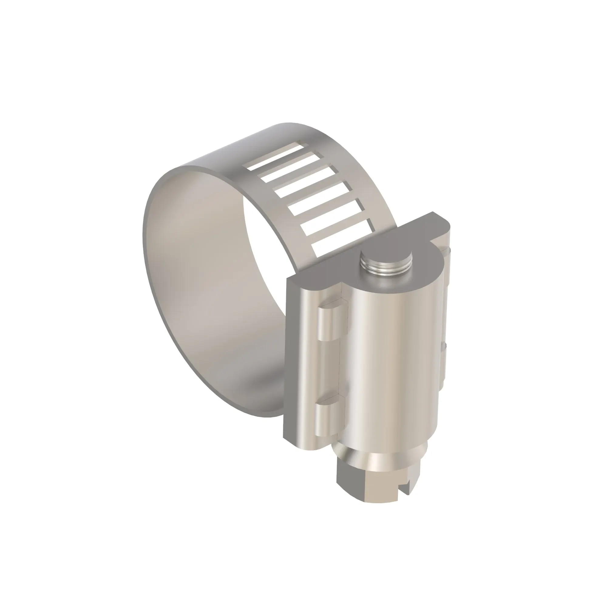 Hose Clamp