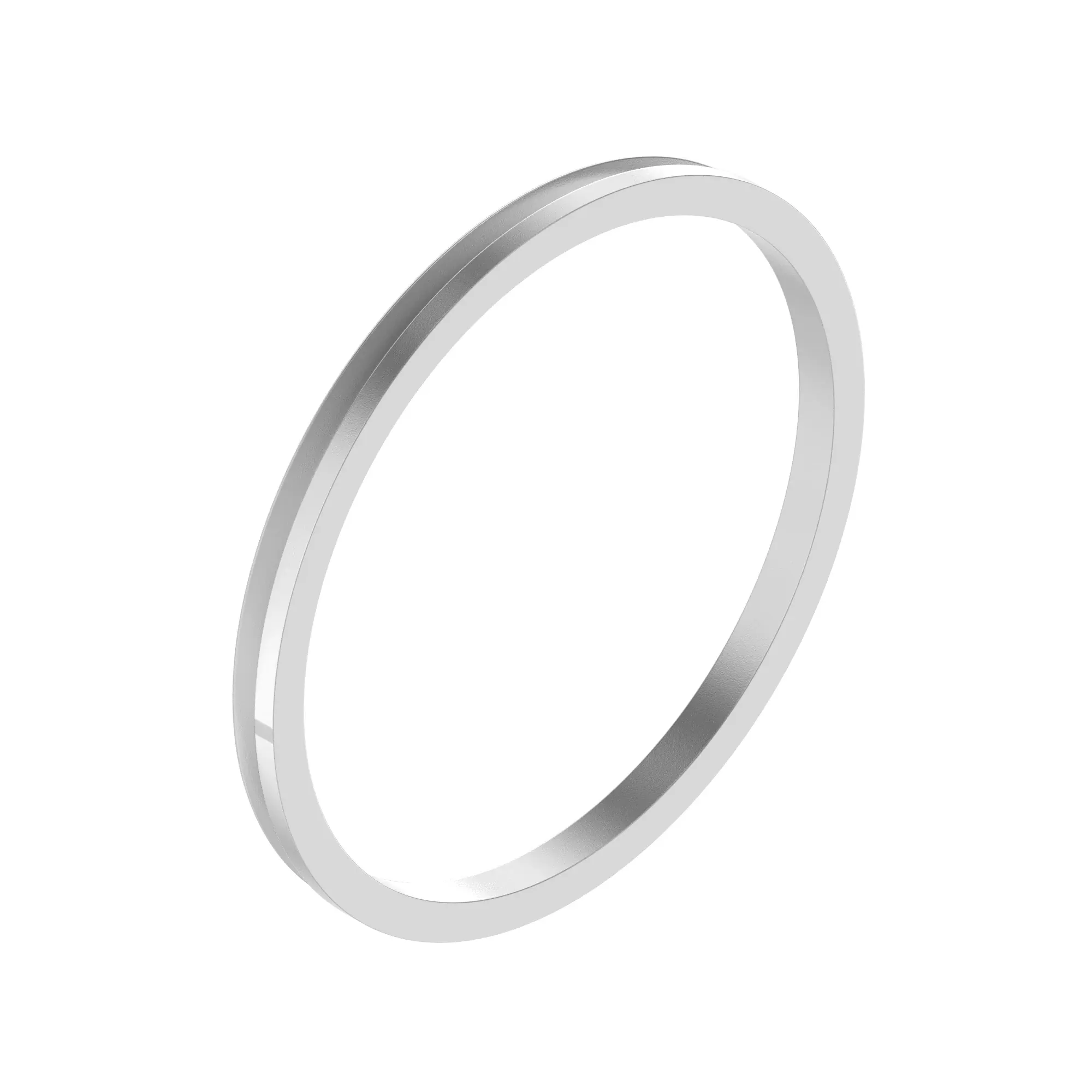 v-ringseal