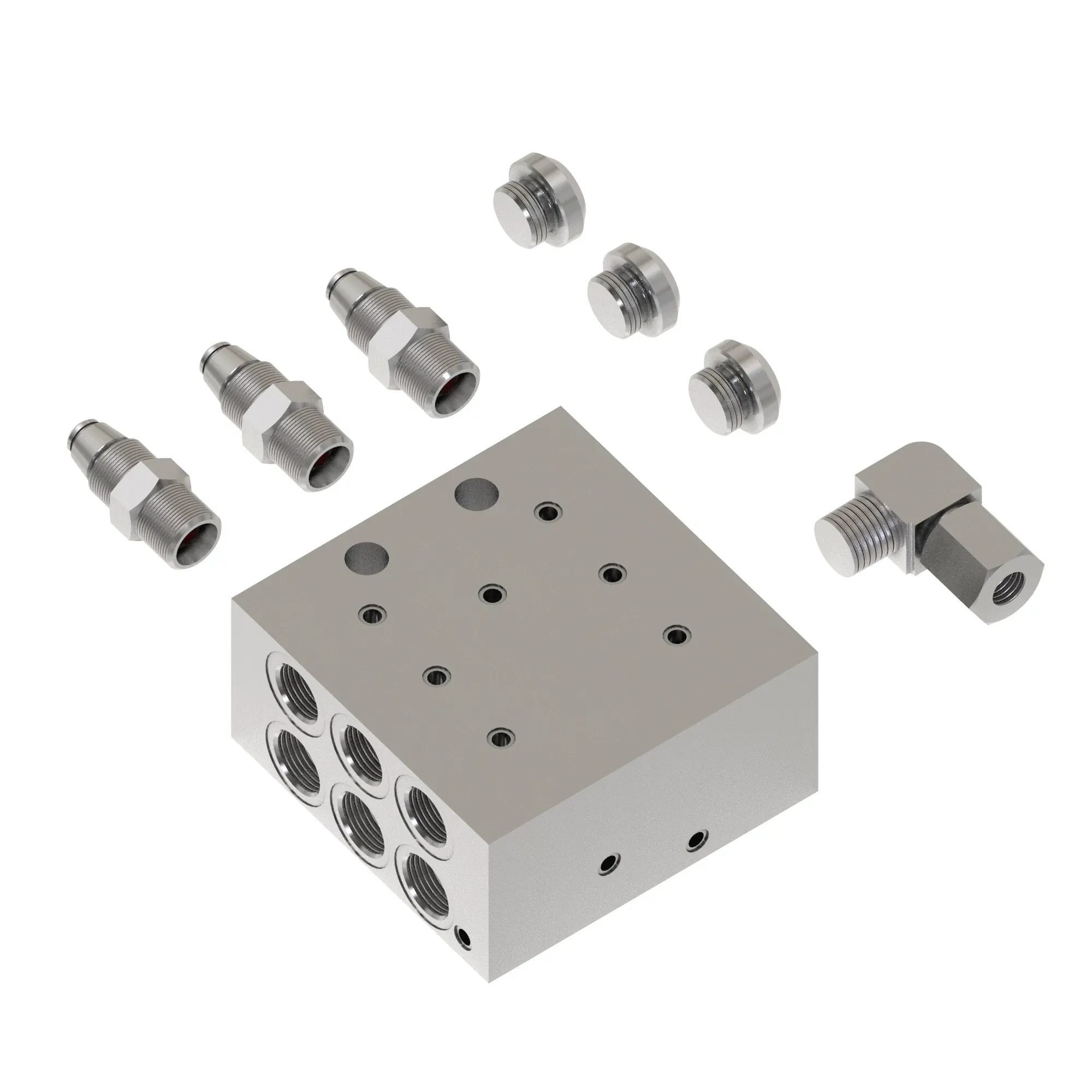 Manifold Kit