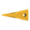 Chisel Tooth