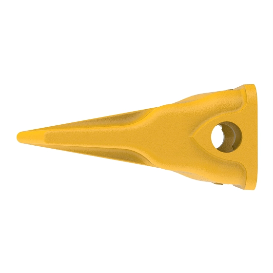 Chisel Tooth