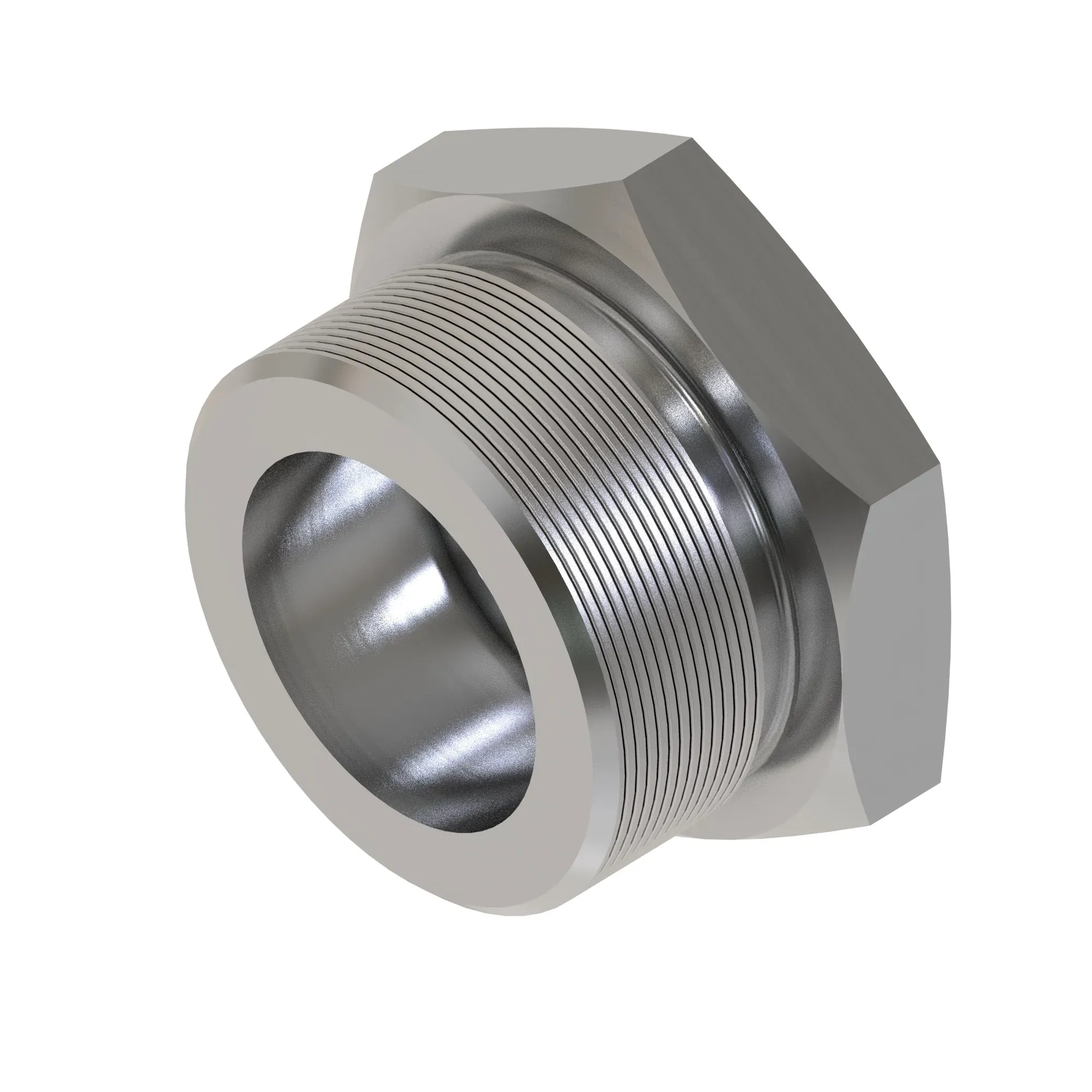 Fitting Plug