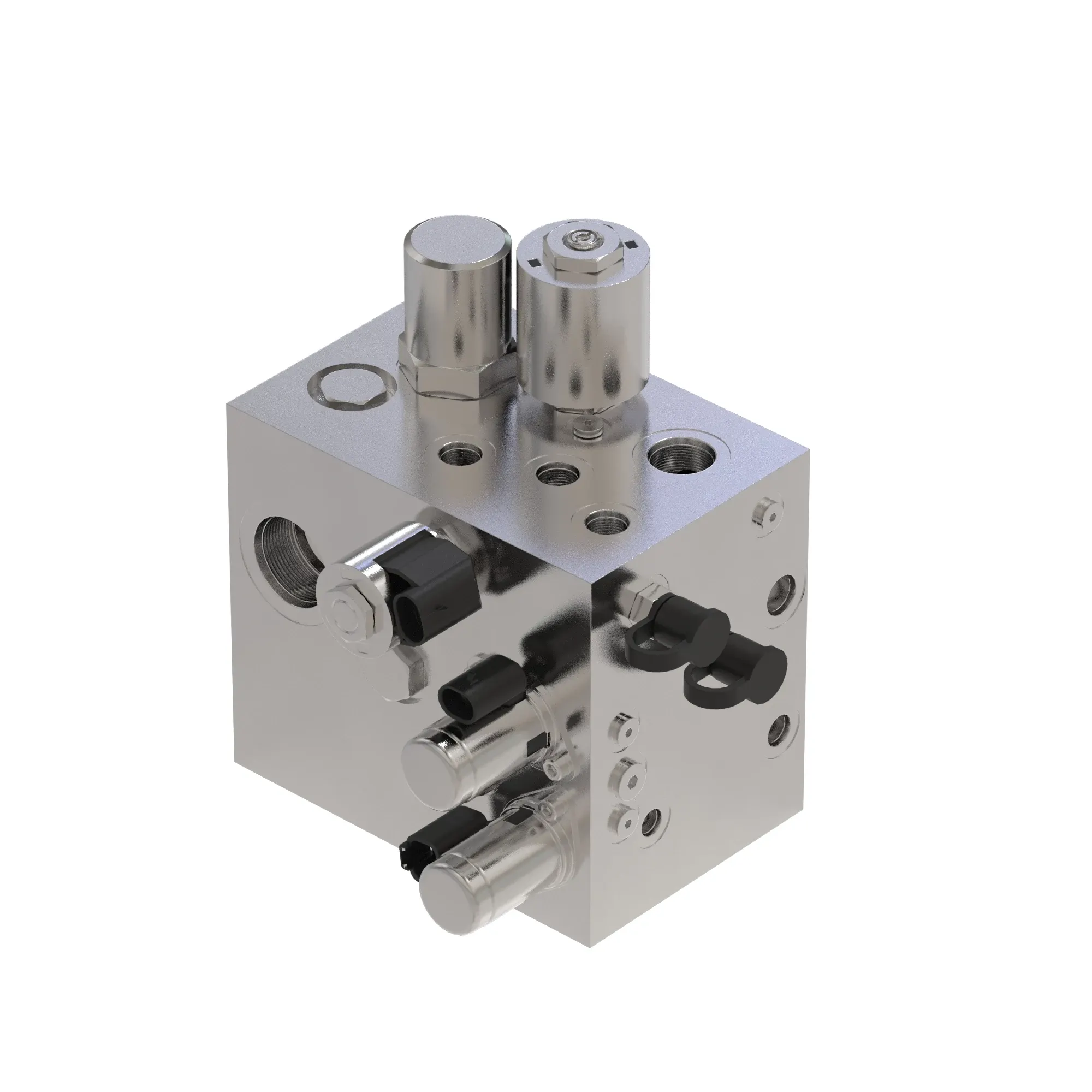 Manifold
