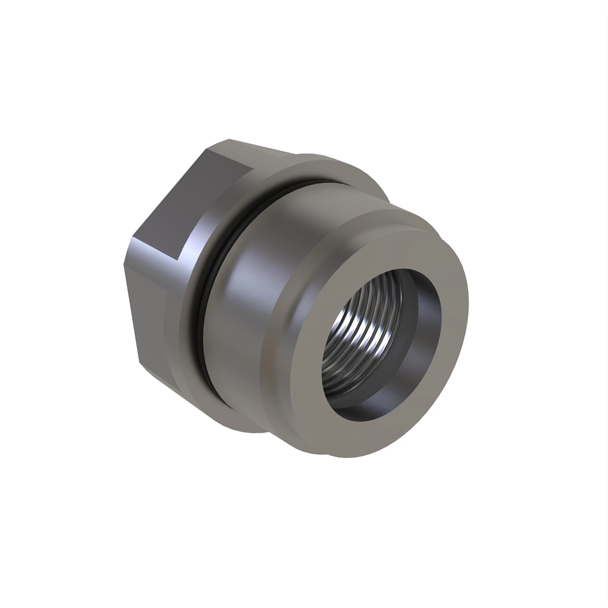 Nut, 1 Inch Gland, Assembly