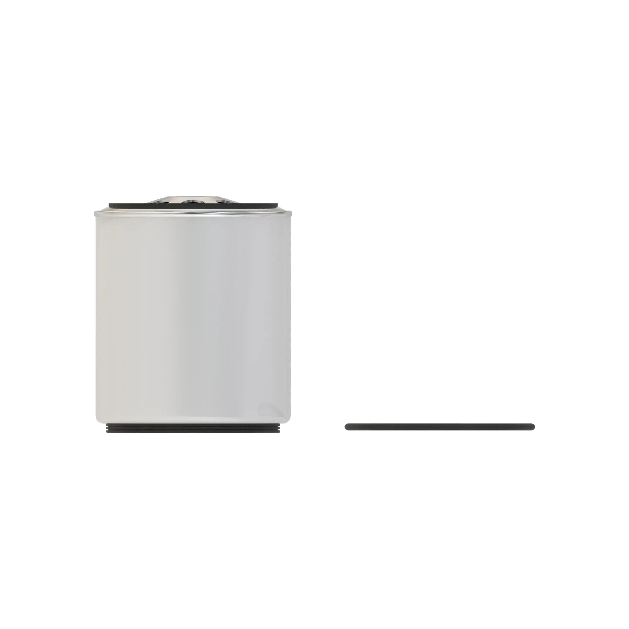 LW10044302: Primary Fuel Filter