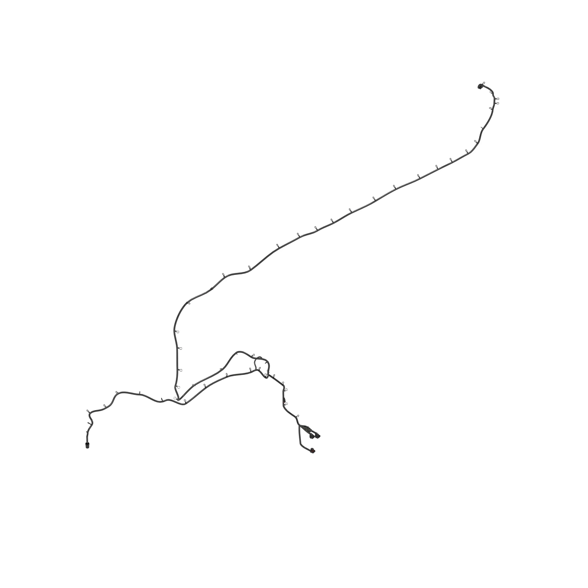 Wiring Harness, Pre MY20 S-Series 9