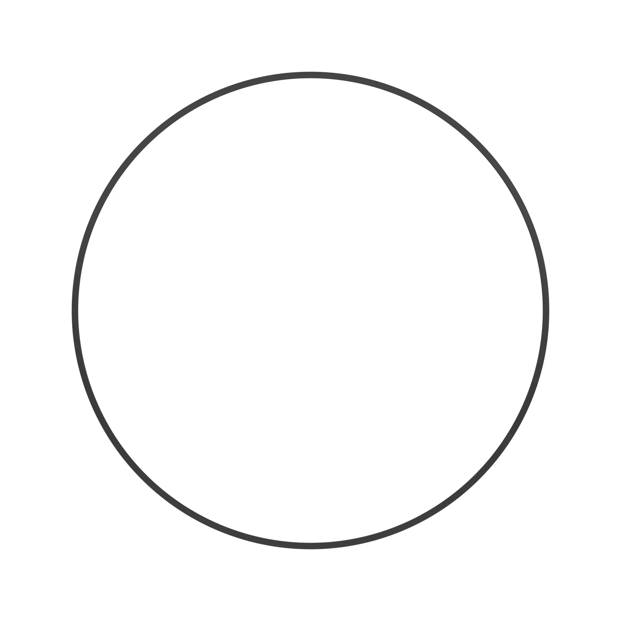 O-RING