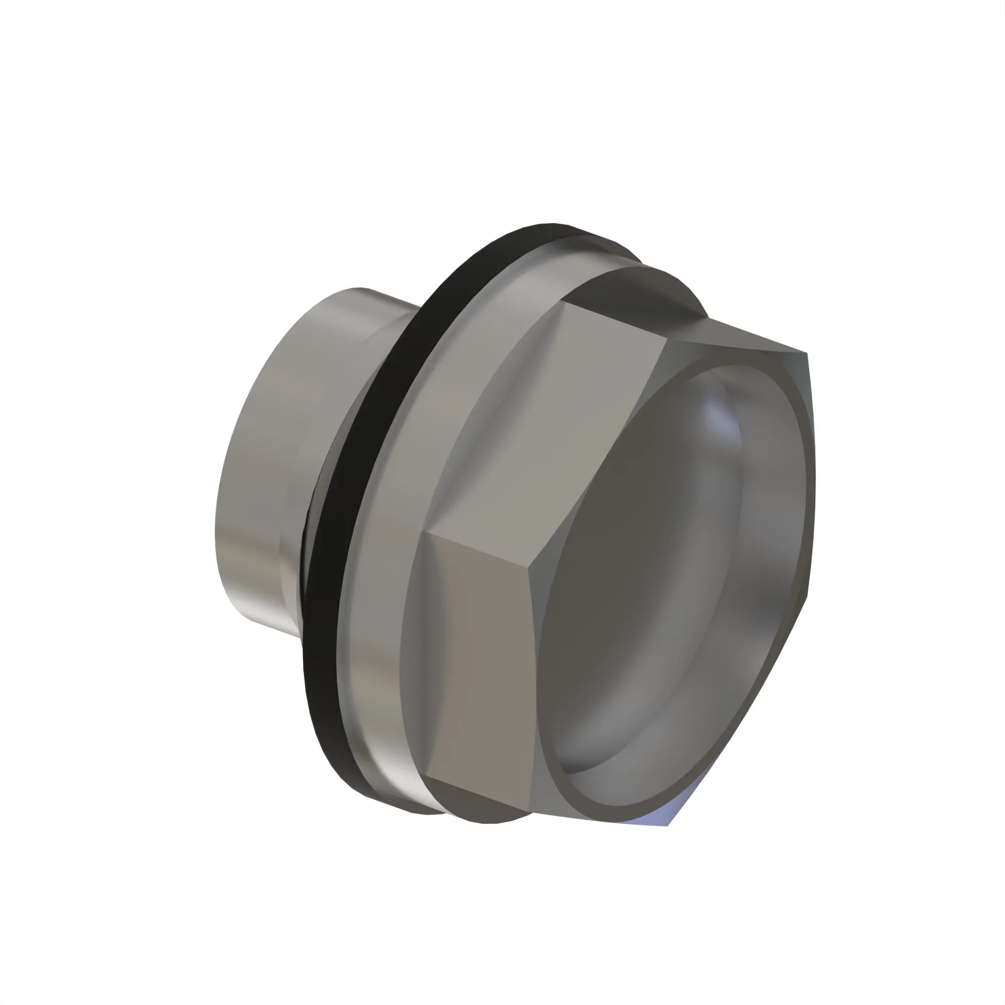 SIGHT PLUG