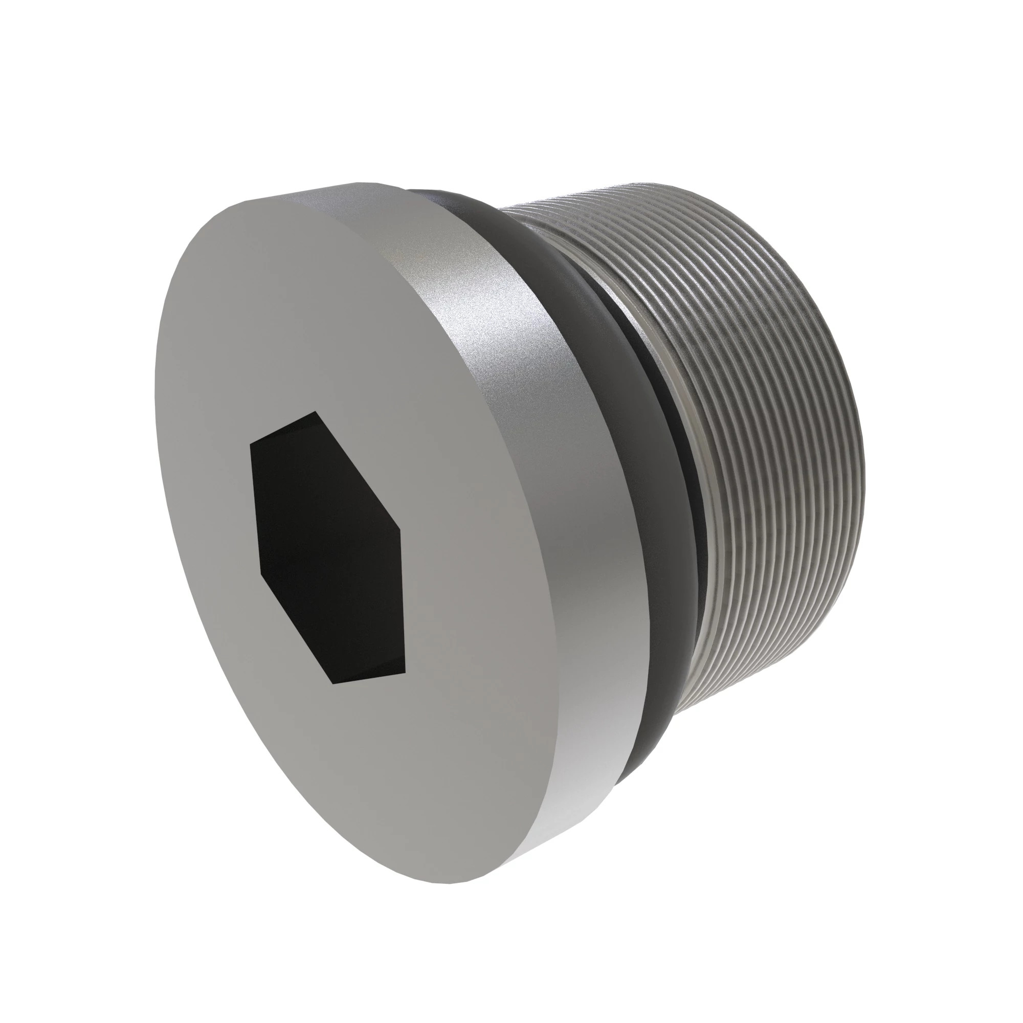 FITTING PLUG, PLUG WITH O-RING