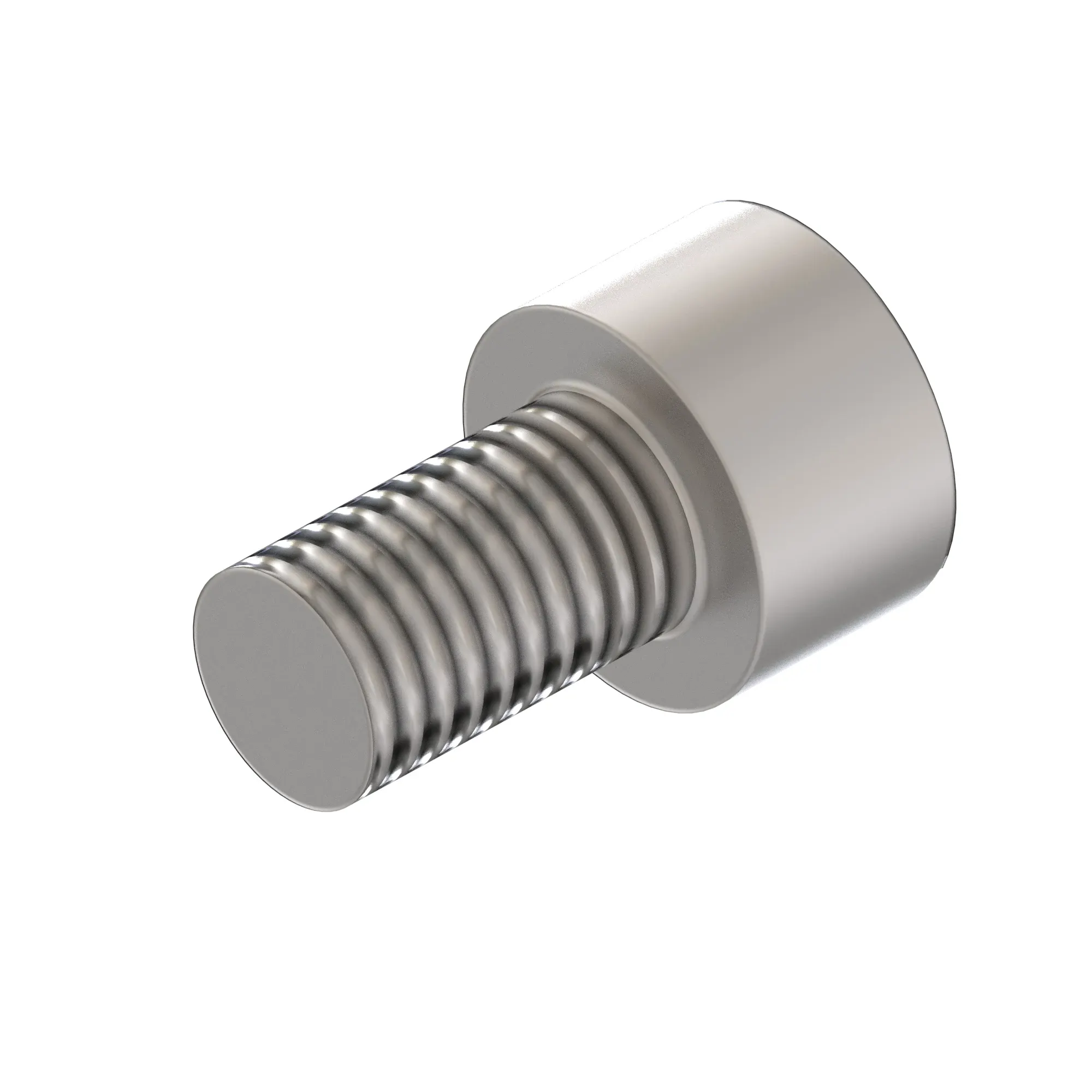 Socket Head Screw