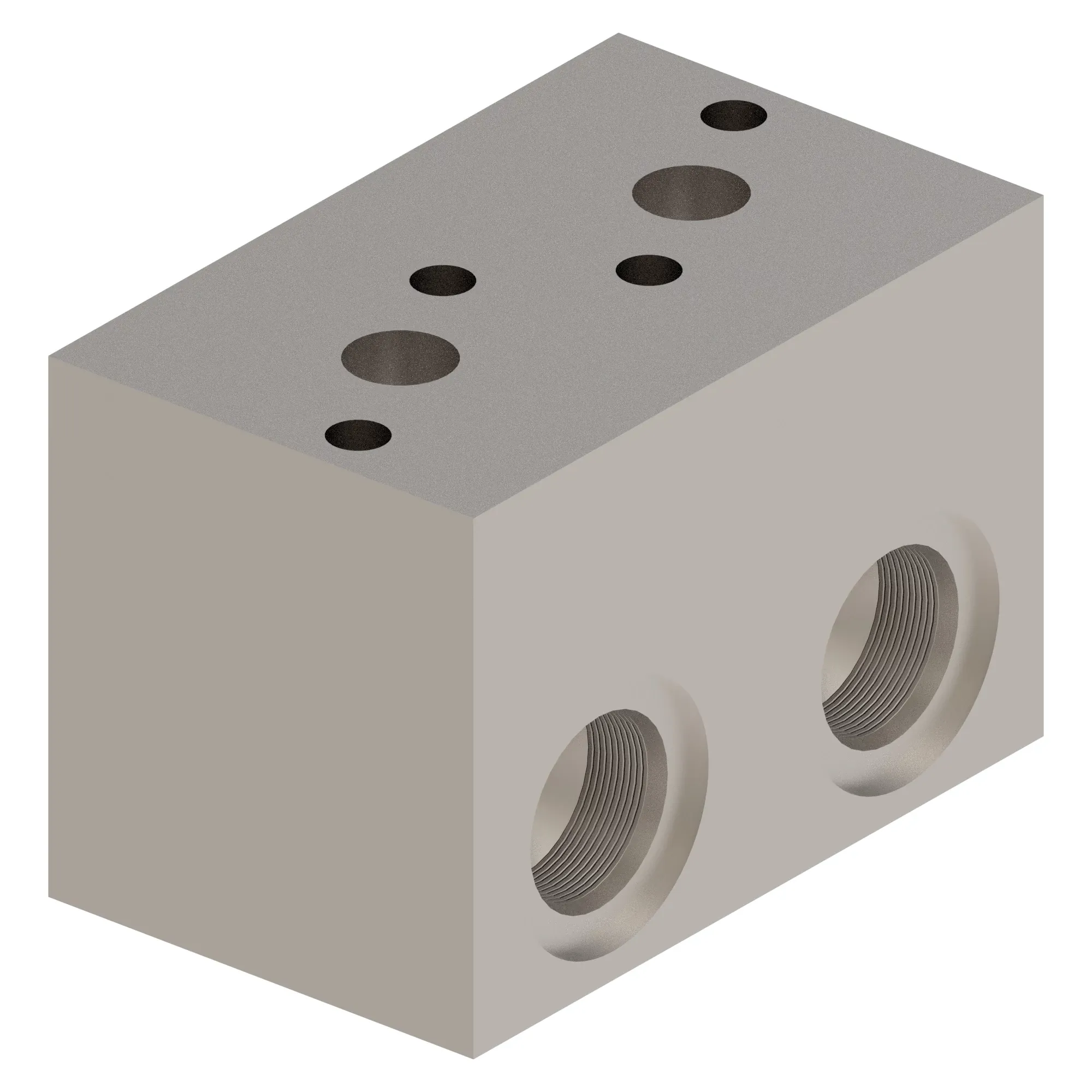 Manifold