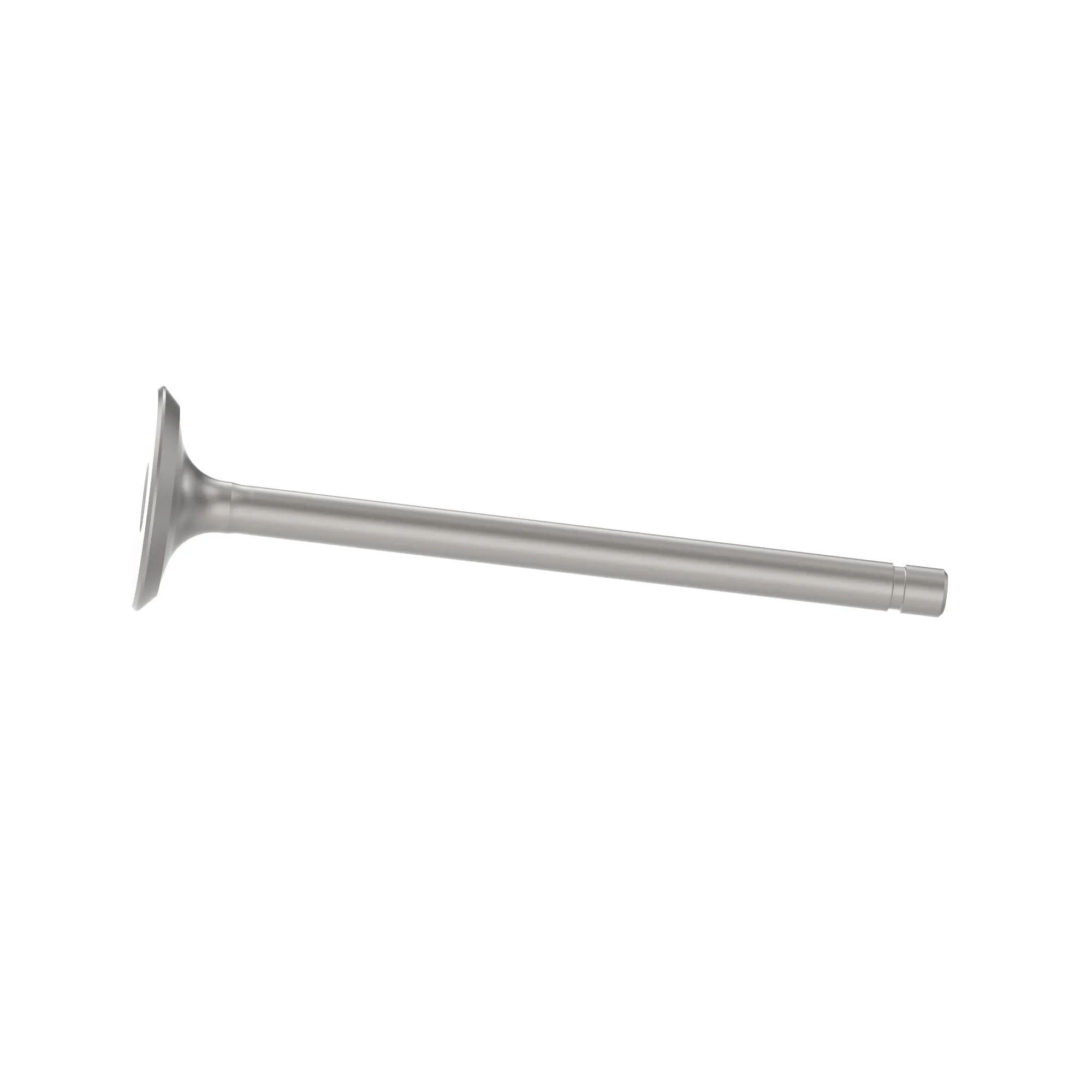 Exhaust Valve