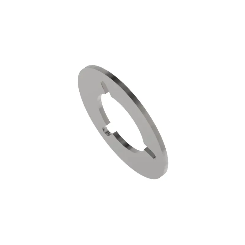 Thrust Washer