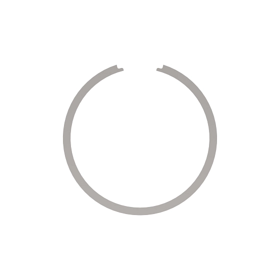 RING-SNAP