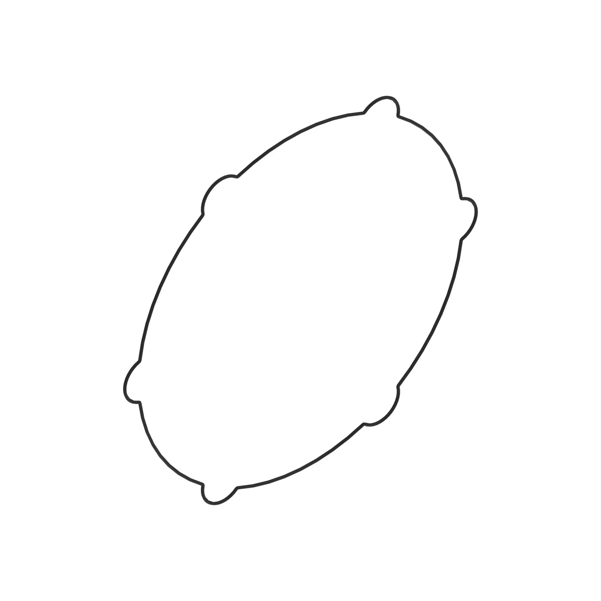 O-Ring