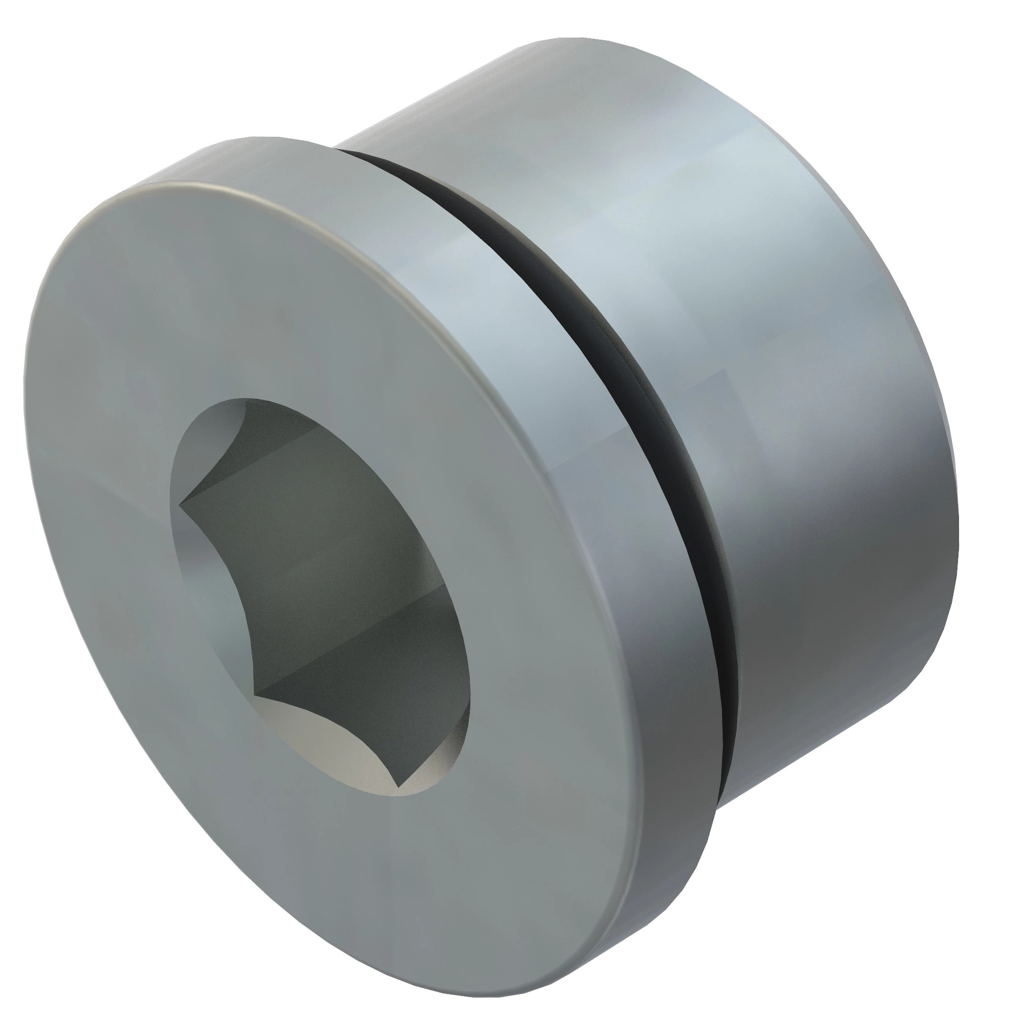 FITTING PLUG, W/ O-RING