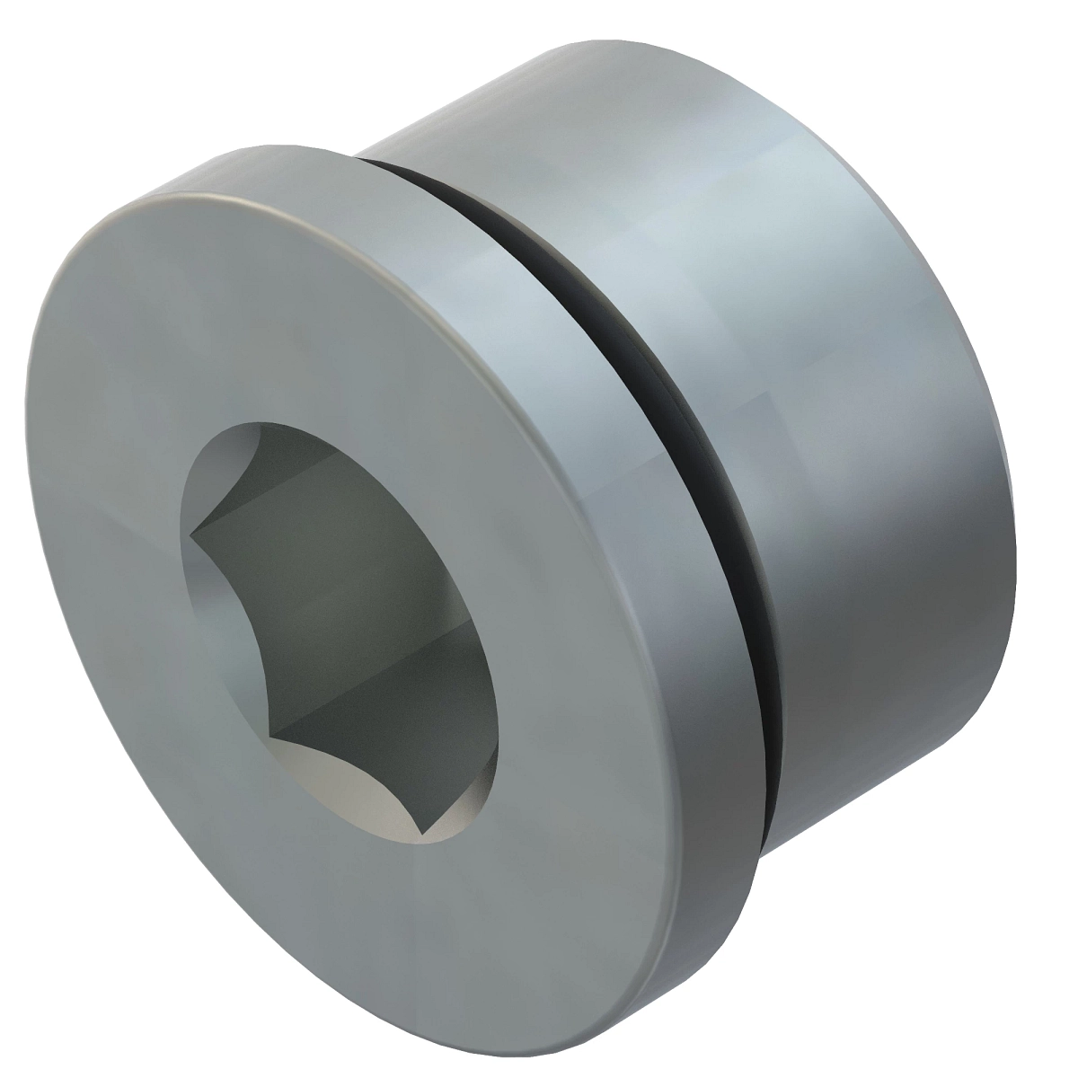 Fitting Plug, W/ O-Ring