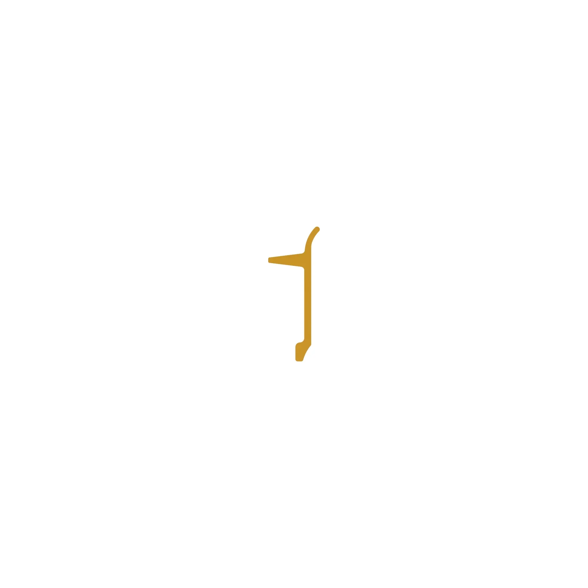 Single Bar Shoe