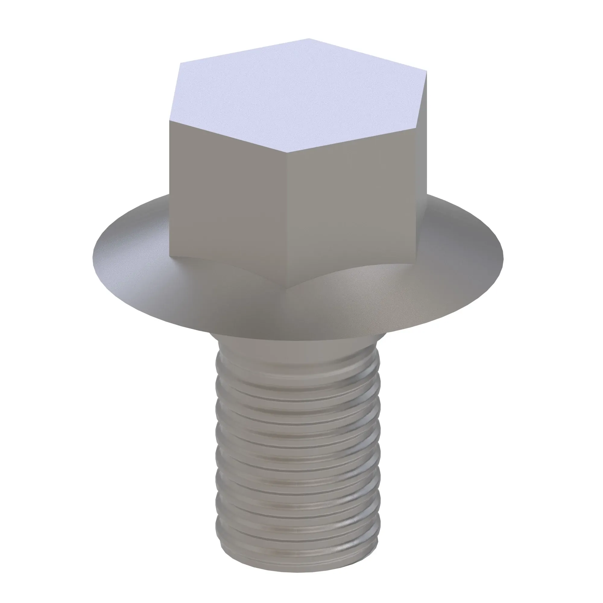 Screw