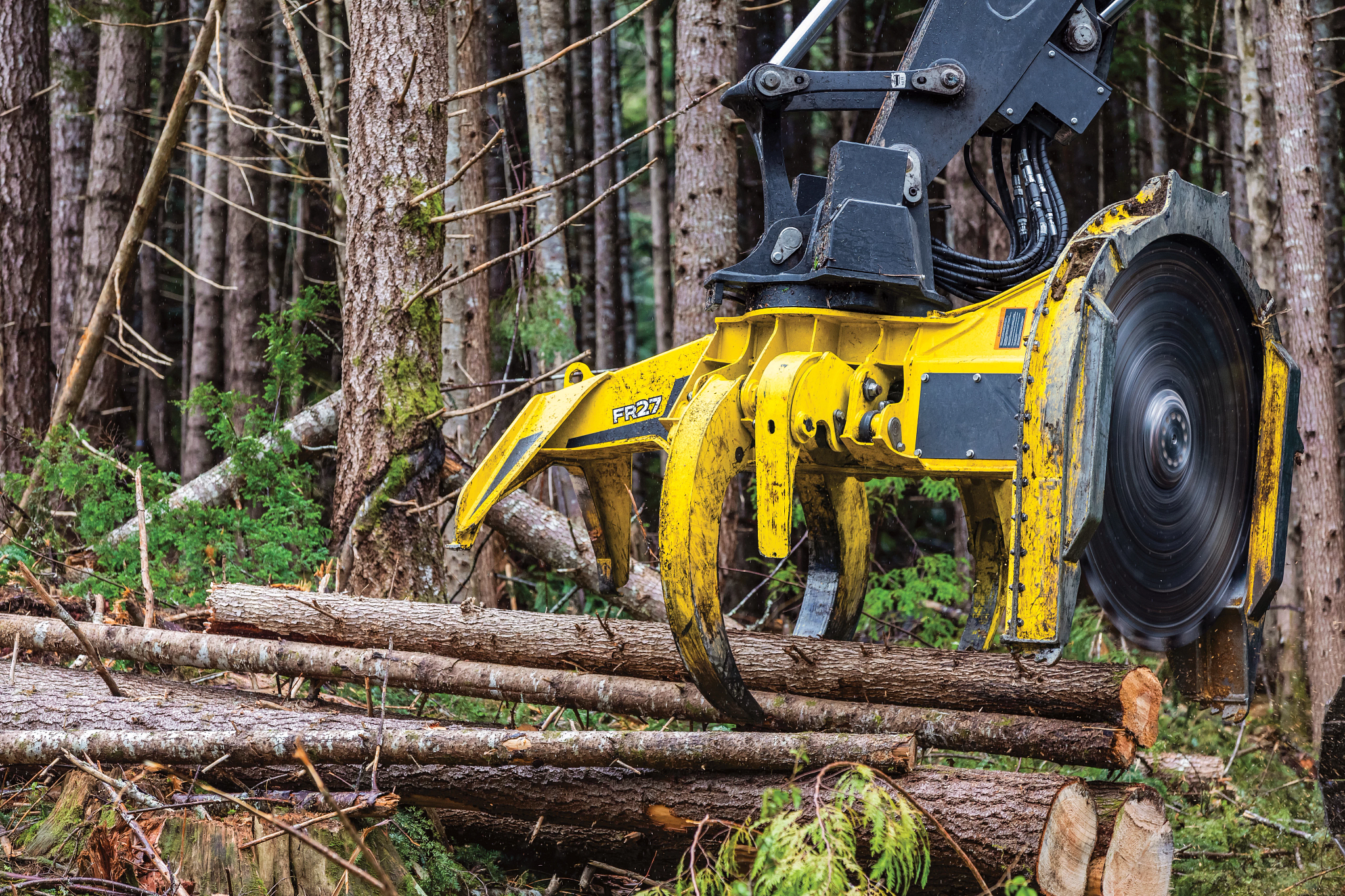 Close-up of a forestry cutting head sawing through a log, with blades and gripping arms visible, surrounded by stacked timber and dense forest vegetation in the background.
