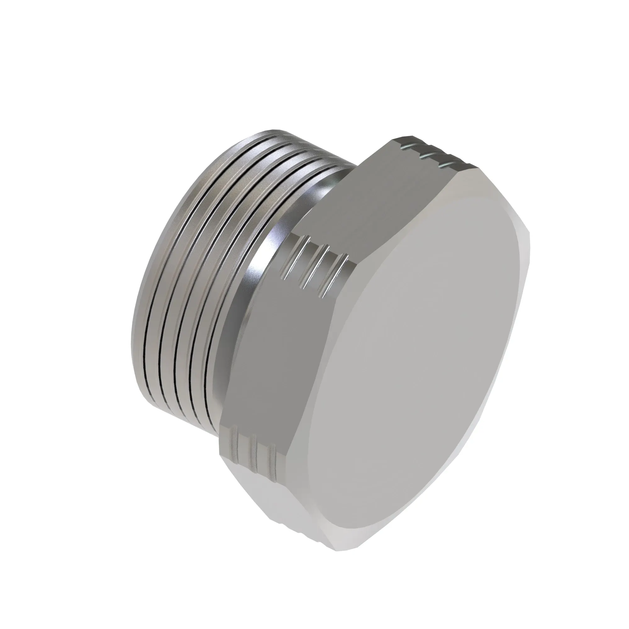 Fitting Plug