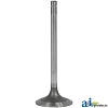 Intake Valve