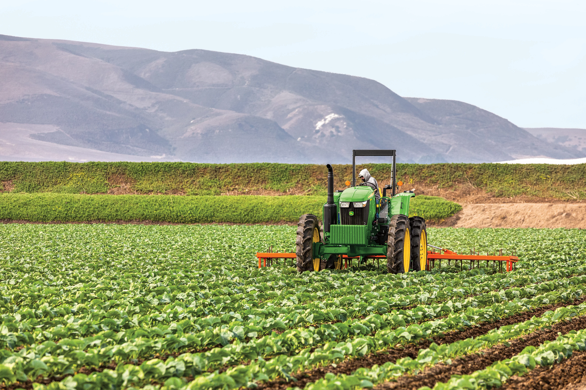 John Deere tractor cultivating rows of leafy green crops in a large field, equipped with a rear-mounted cultivator and narrow front tires, operating on level farmland with hills in the background.