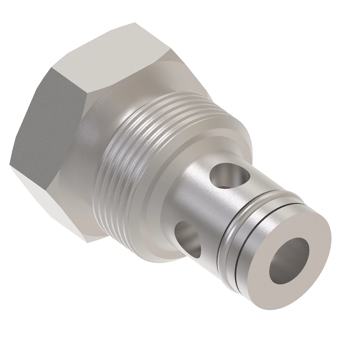 Check Valve