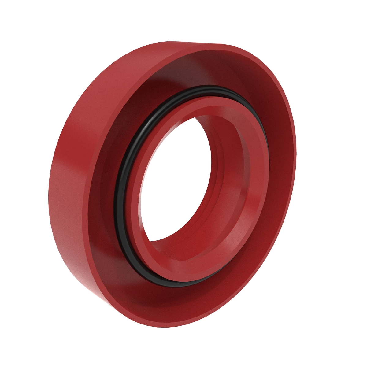Oil Seal